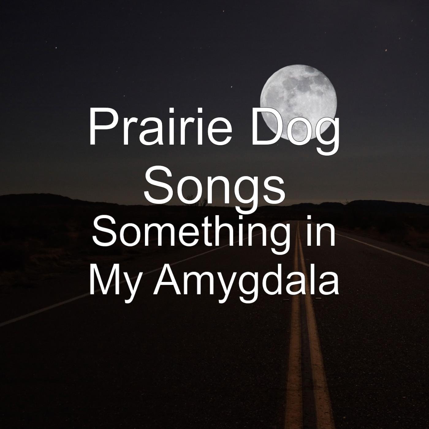 Prairie Dog Songs