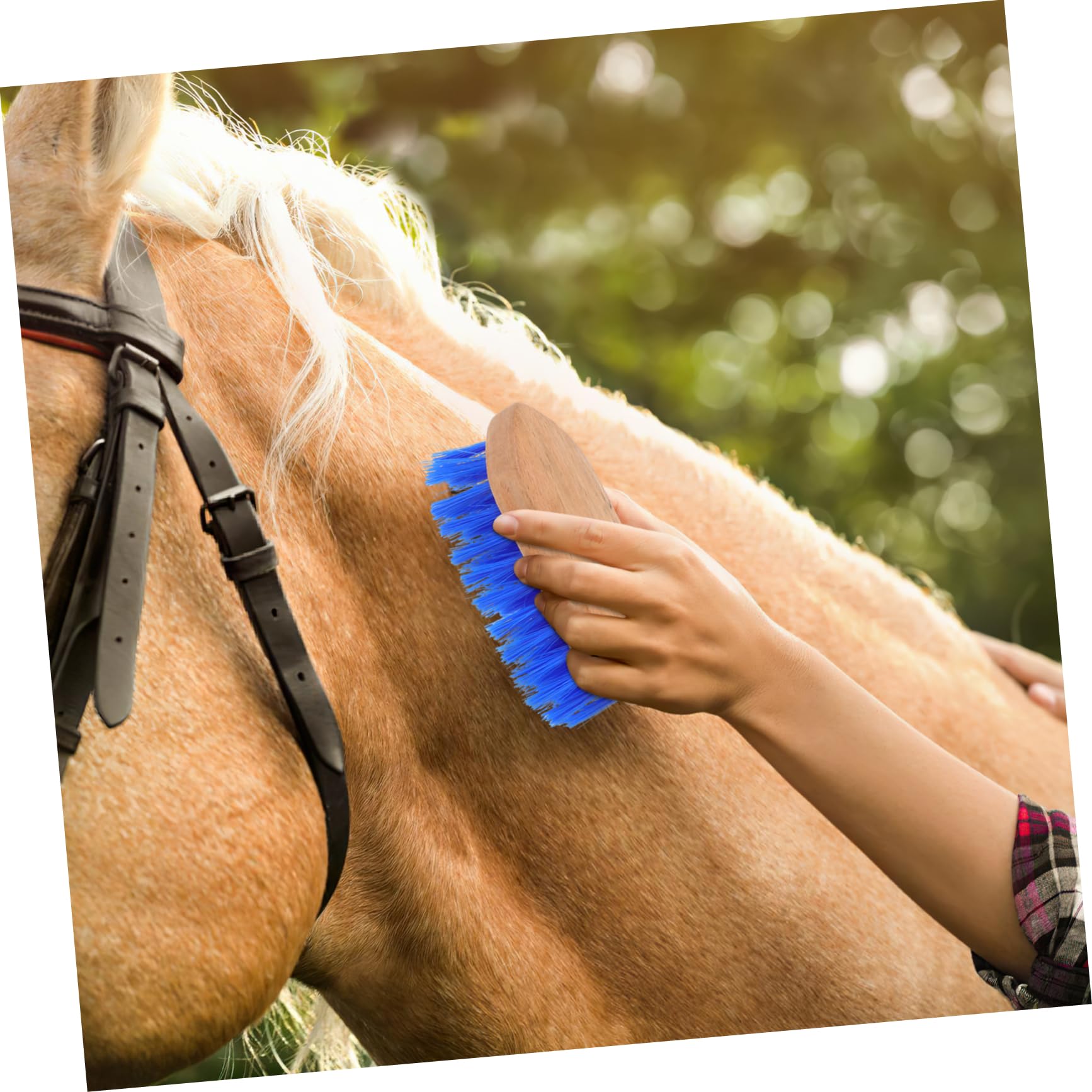 GALPADA 5 Cepillos Para Caballos Cepillo De Limpieza Para Ganado Y Caballos Peine Para Pelo De Caballo Herramienta Para La Muda De Pelo Cepillo De Crin Suministros Para El Cuidado De