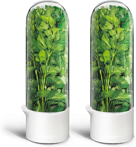 Conservador de hierbas para refrigerador, protector de hierbas para refrigerador, recipiente de cilantro, botella de conservación de verduras para