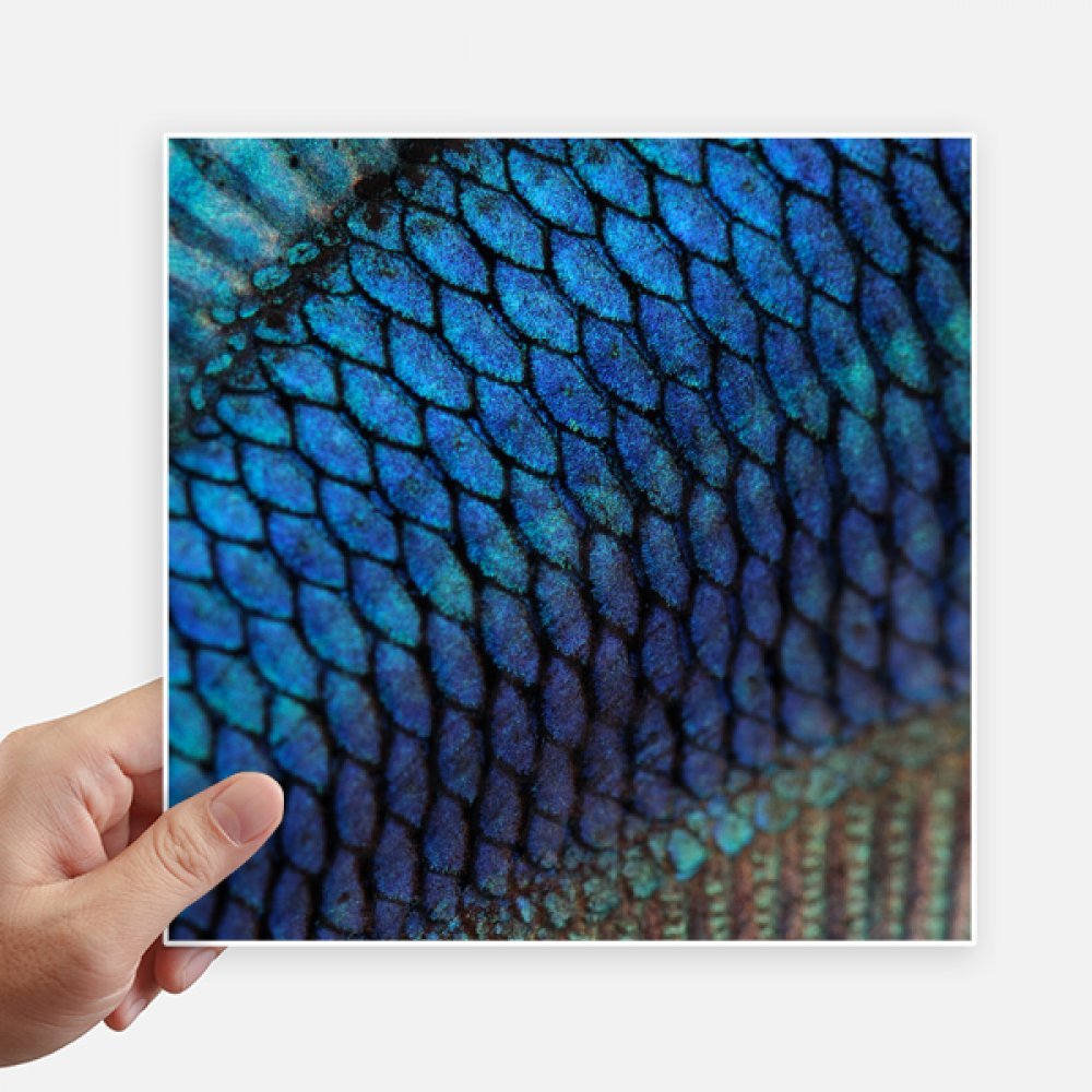 Autocollant carré poisson bleu mystère 20cm sticker mural multicolore pour moto et valise de voyage
