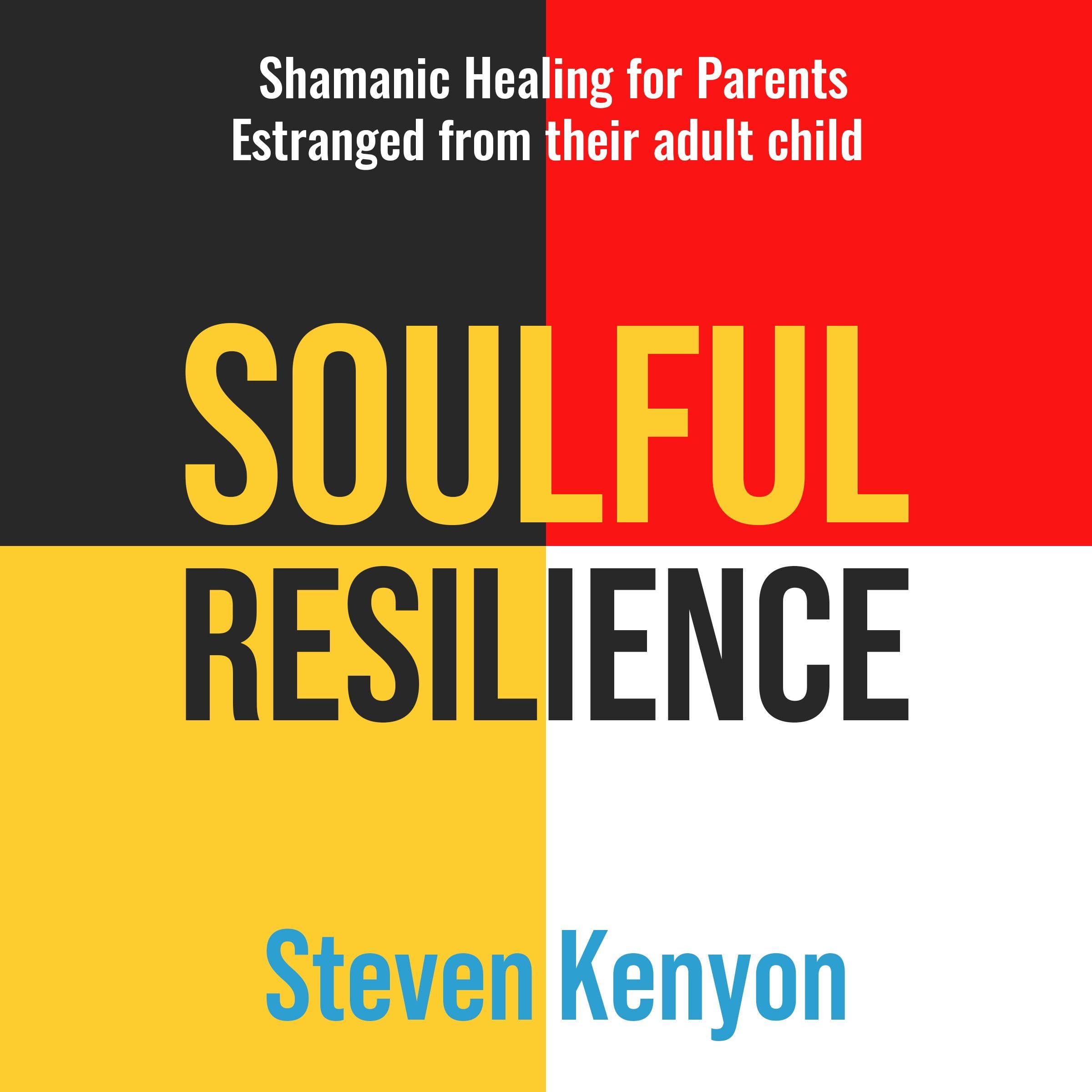 Cover art for Soulful Resilience