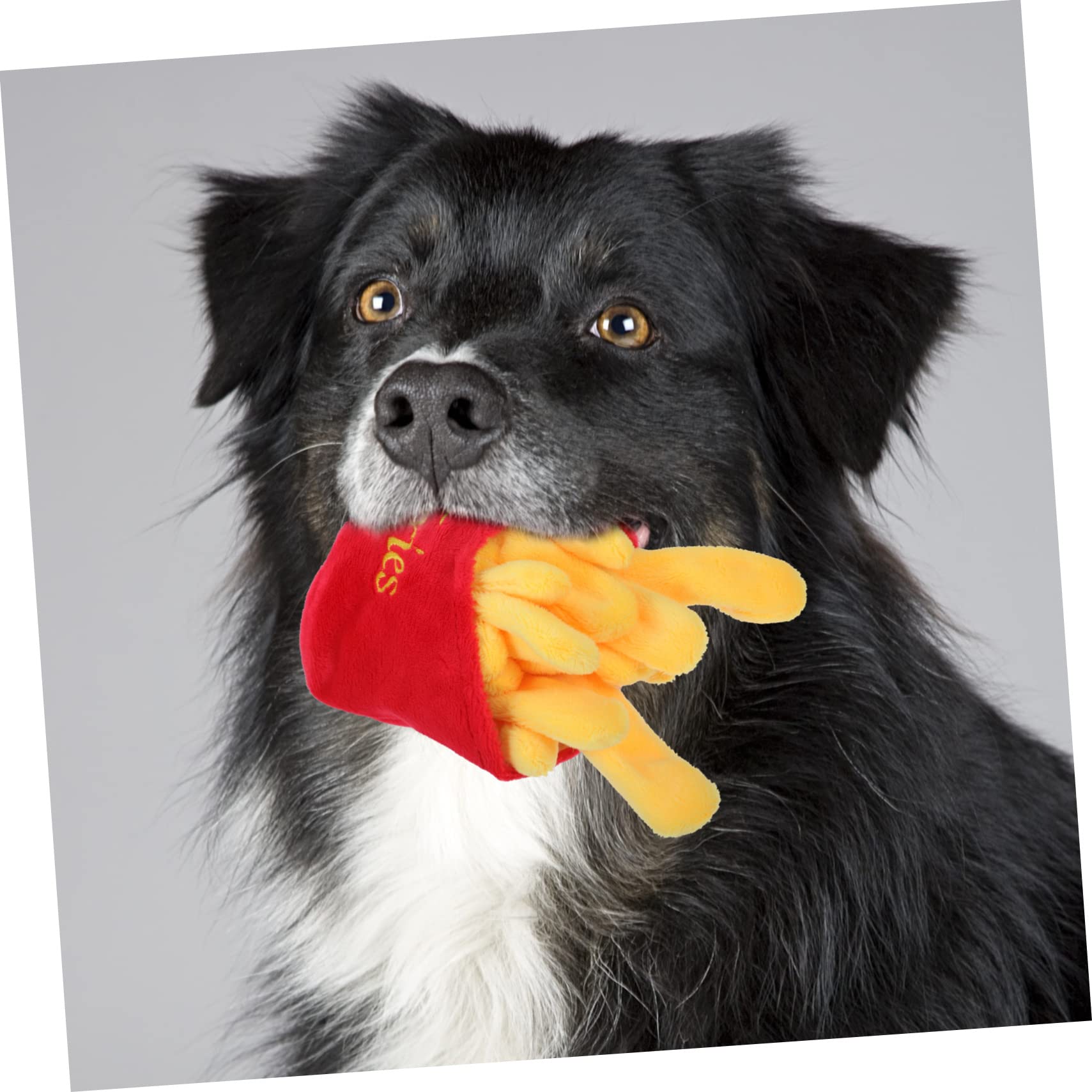 Beaupretty Jouet Couineur pour Chien Jouet à Mâcher pour Animaux De Jeu pour Chien Aux Morsures