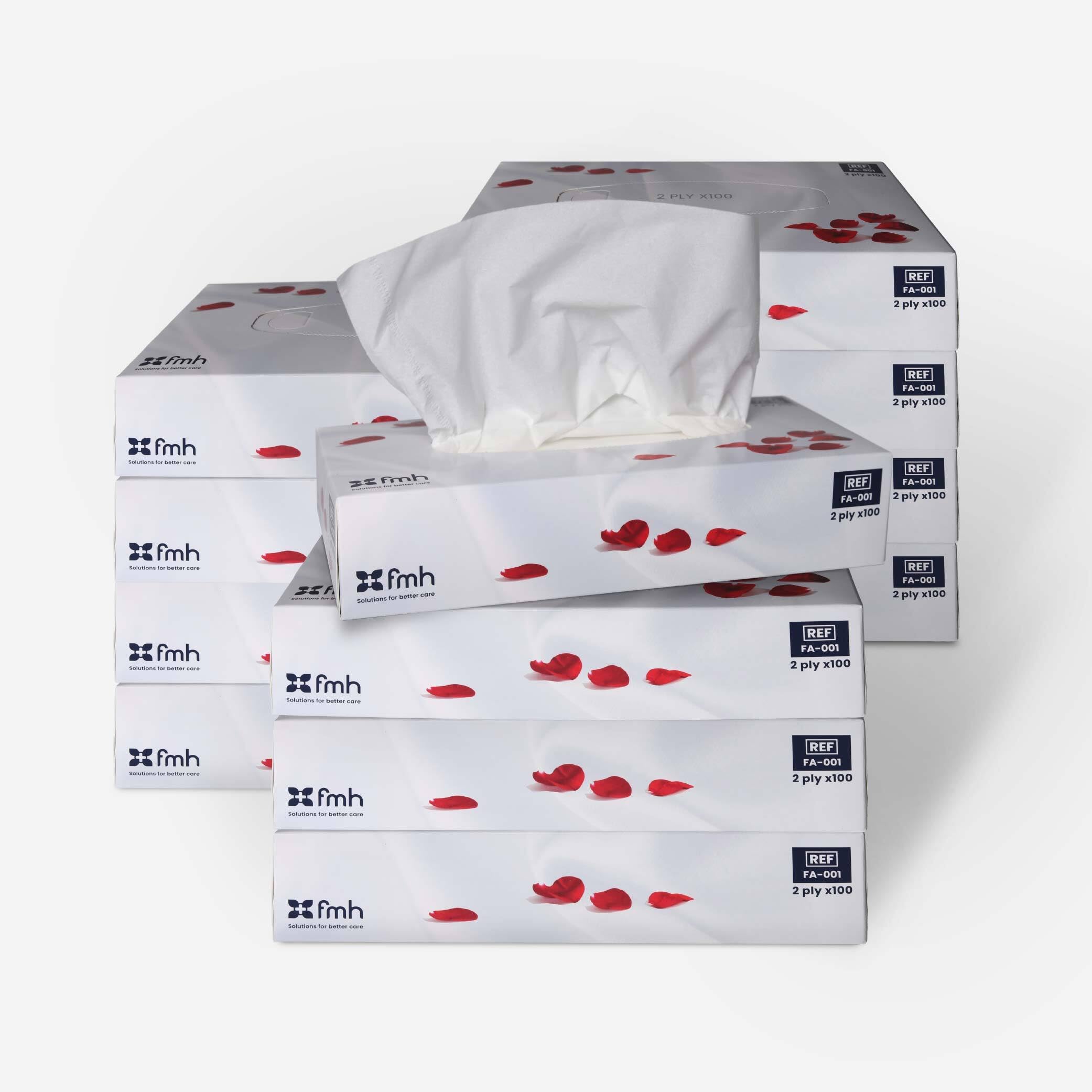 Farla Medical Healthcare Facial Tissues, Pack of 12 Tissue Boxes - 2-Ply, 100 Sheets Soft White Tissue Paper - Versatile for Home, Office, Schools & Healthcare - Fits Standard Tissue Dispensers