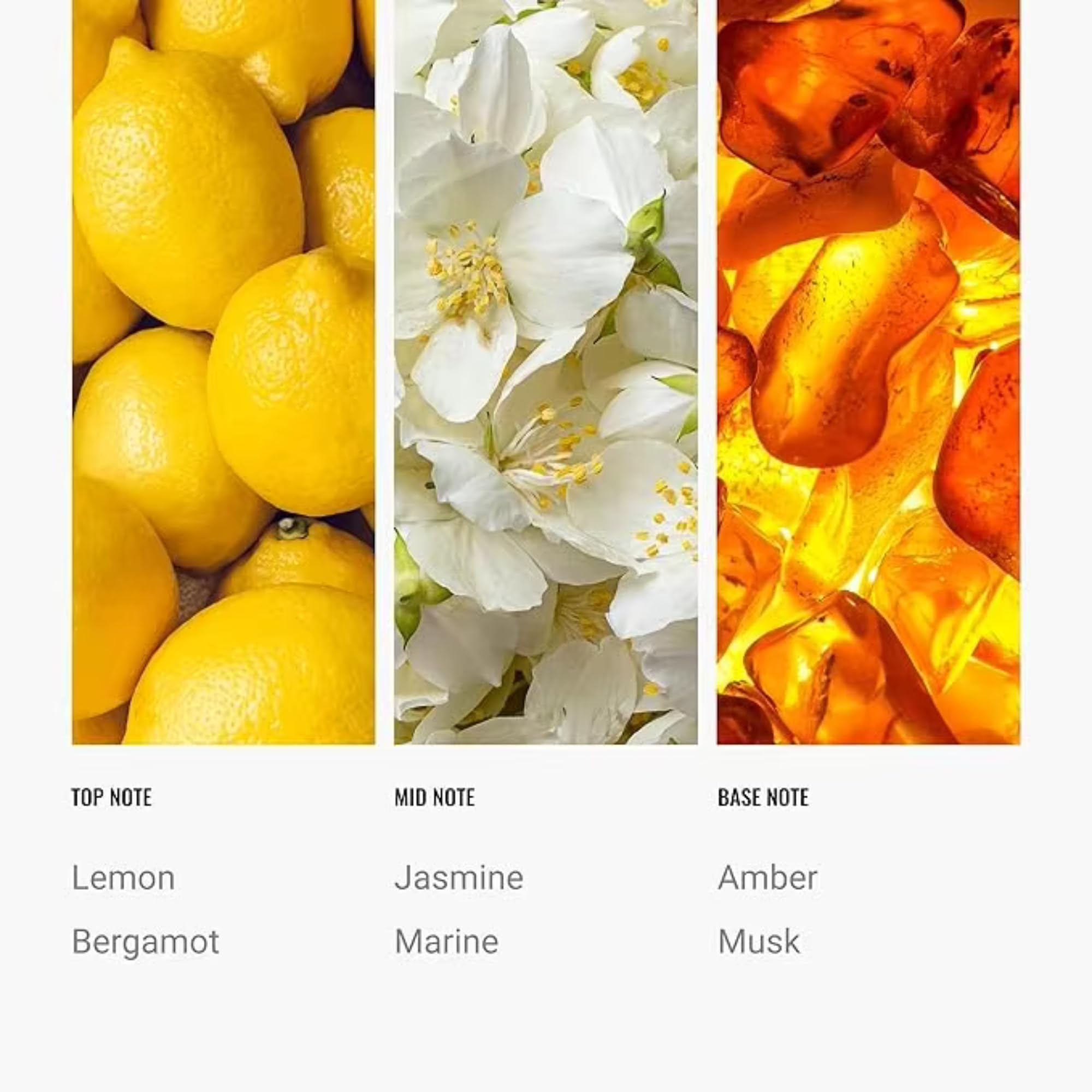 Cabana - Aceite esencial de 50 ml, aroma de hotel de lujo, limón, bergamota, jazmín, ámbar y almizcle, inspirado en The Ritz Carlton, aceite difusor de la colección de hotel, aceite de fragancia de