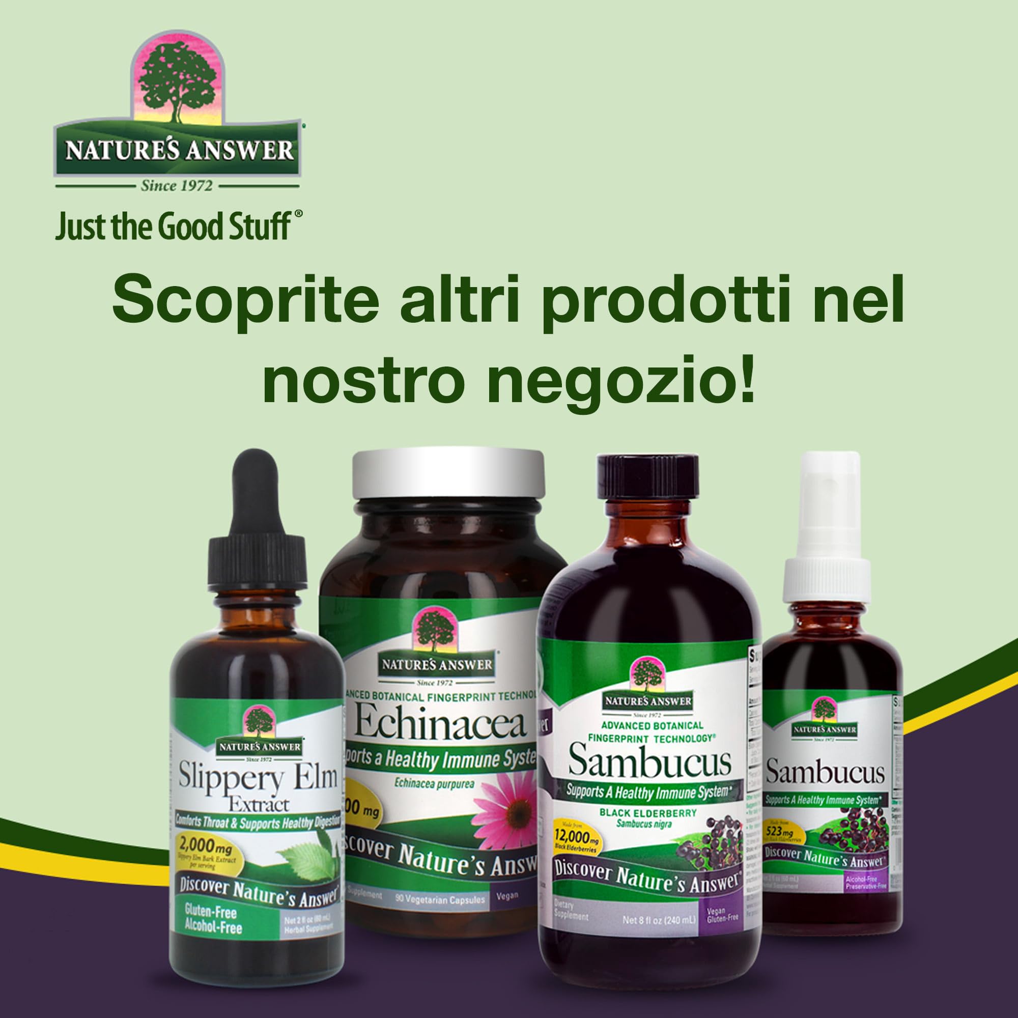 Nature's Answer, Nettle Extract (Estratto di Ortica), 400mg, 30ml, Testato in Laboratorio, Senza Glutine, Senza Soia, Vegano, Vegetariano, Non OGM
