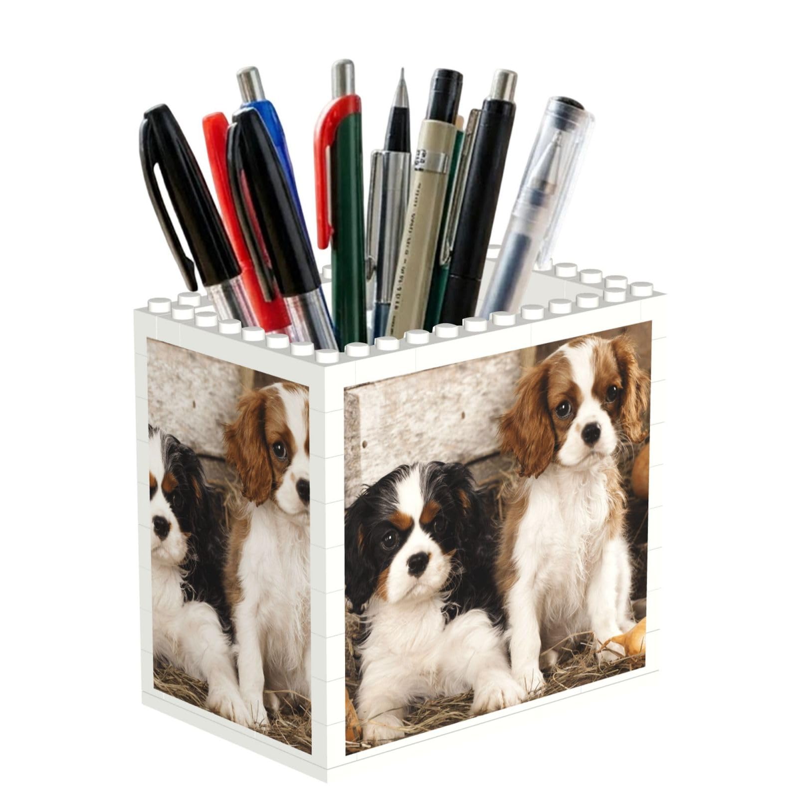 Poadnly Cavalier King Charles Spaniel Small Puppies, Pen Pot Pencil Holder for Office Home School, Compact Desk Organiser for Office Stationery