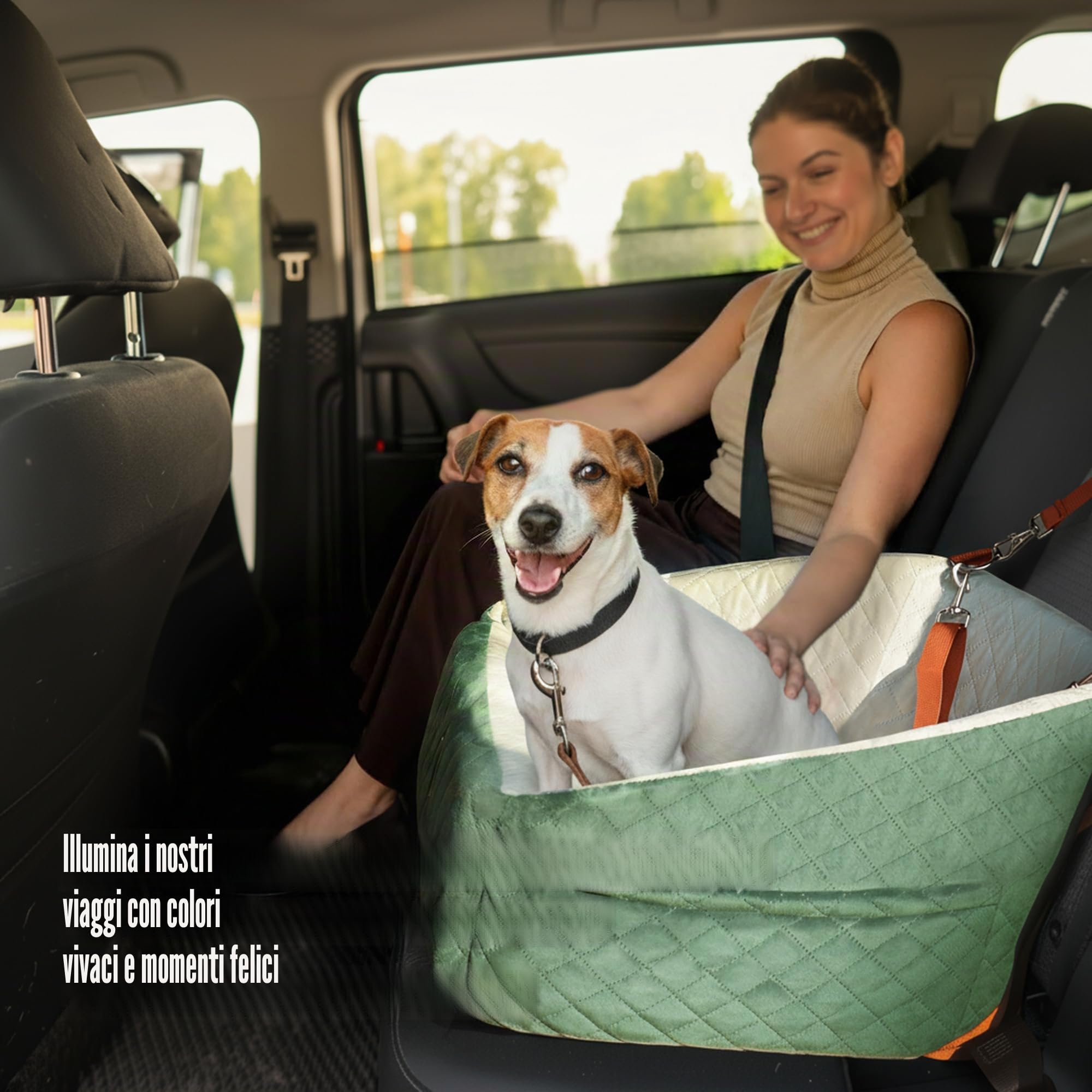 Seggiolino per Cani Auto per Piccoli & Medi Cani – Protezione Anti-Crash, Antiscivolo, Protegge l'Interno dell'Auto, Rimovibile & Lavabile