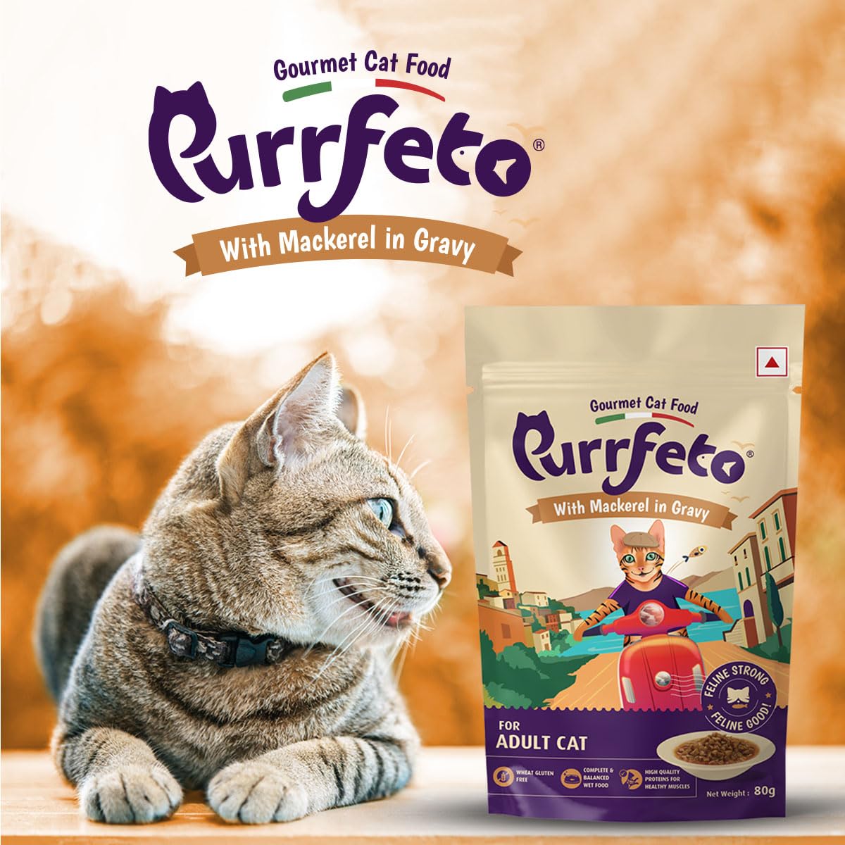 Purrfeto Adult Wet Cat Food | Mackerel in Gravy |80 GMS, Pack of 48| Gluten Free | Supports Hydration | Highly Palatable 3