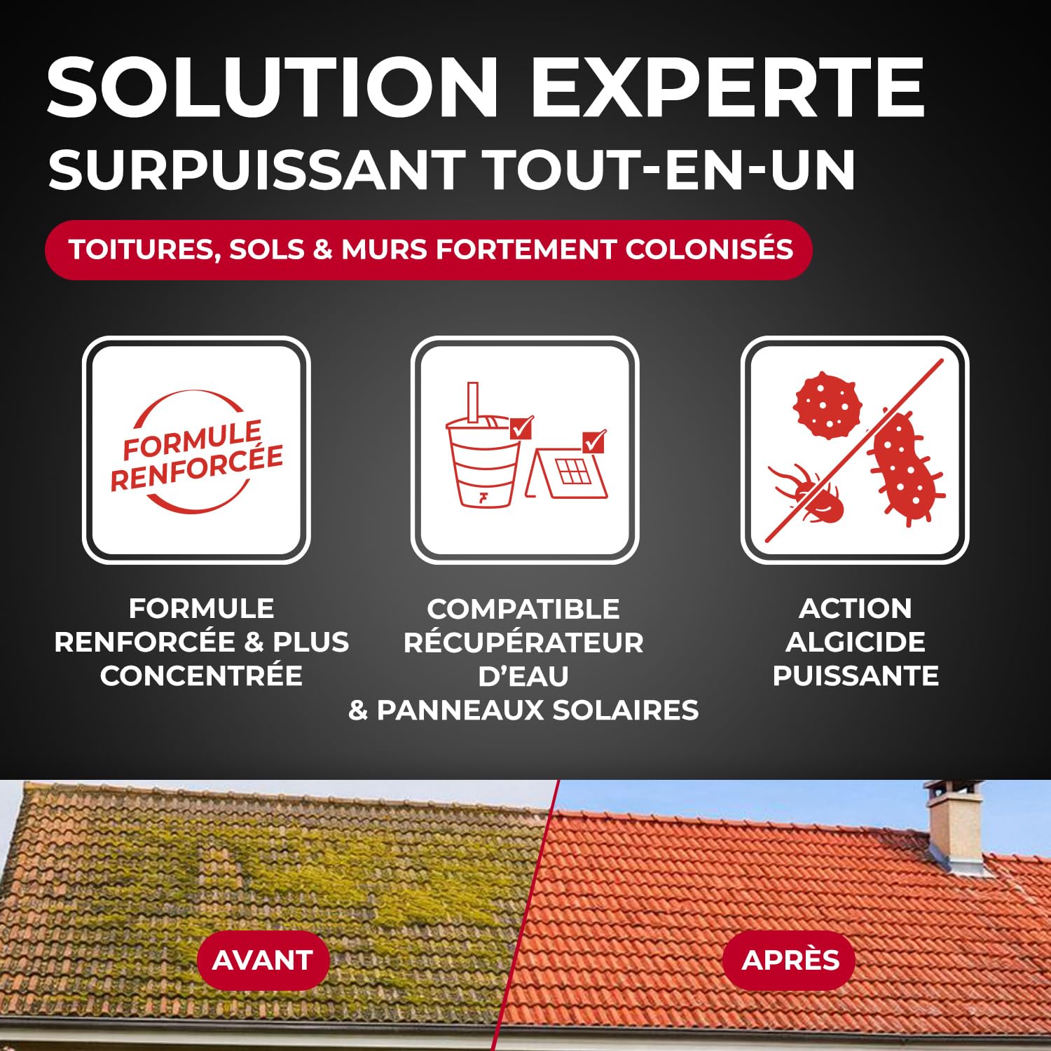 STARWAX Destructeur Tout en un de dépôts verts rouges lichens et traces noires 10L, prêt à l'emploi, toitures murs et sols extérieurs, algicide curatif et préventif, sans javel, rendement 10m²/L
