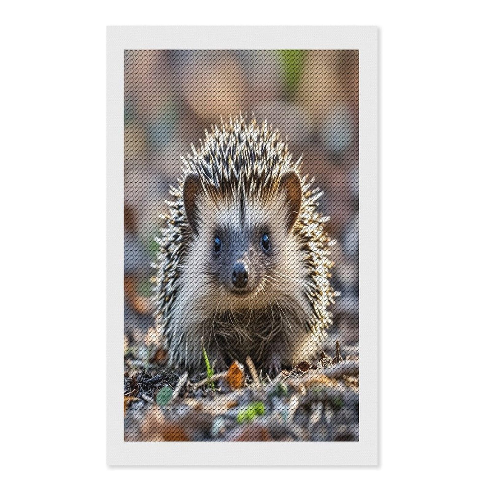 FekiLoot Hedgehog Diamond Painting Kits for Beginners DIY Diamond Art Kits for Adults Full Drill Round Diamond Dot Gem Art Painting Fun DIY Crafts for Home Kitchen Wall Decor Gift 12"x20"