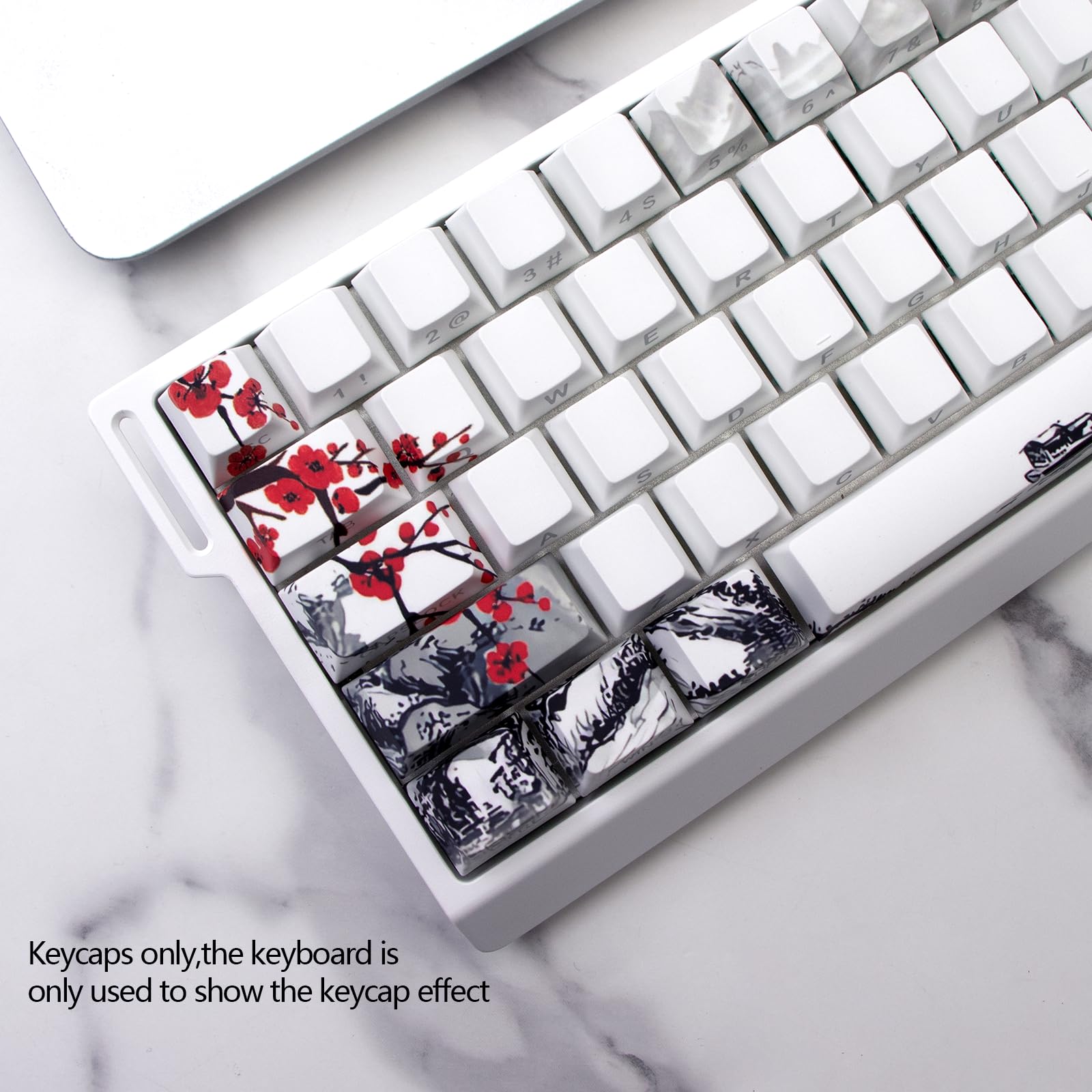 Keycap bianco a tema Plum Blossom, tasti traslucidi stampati lateralmente, 74 tasti Cherry Profile Keycap set adatto per switch Cherry MX 60/61/65/67/68 tastiere meccaniche (solo cappucci)