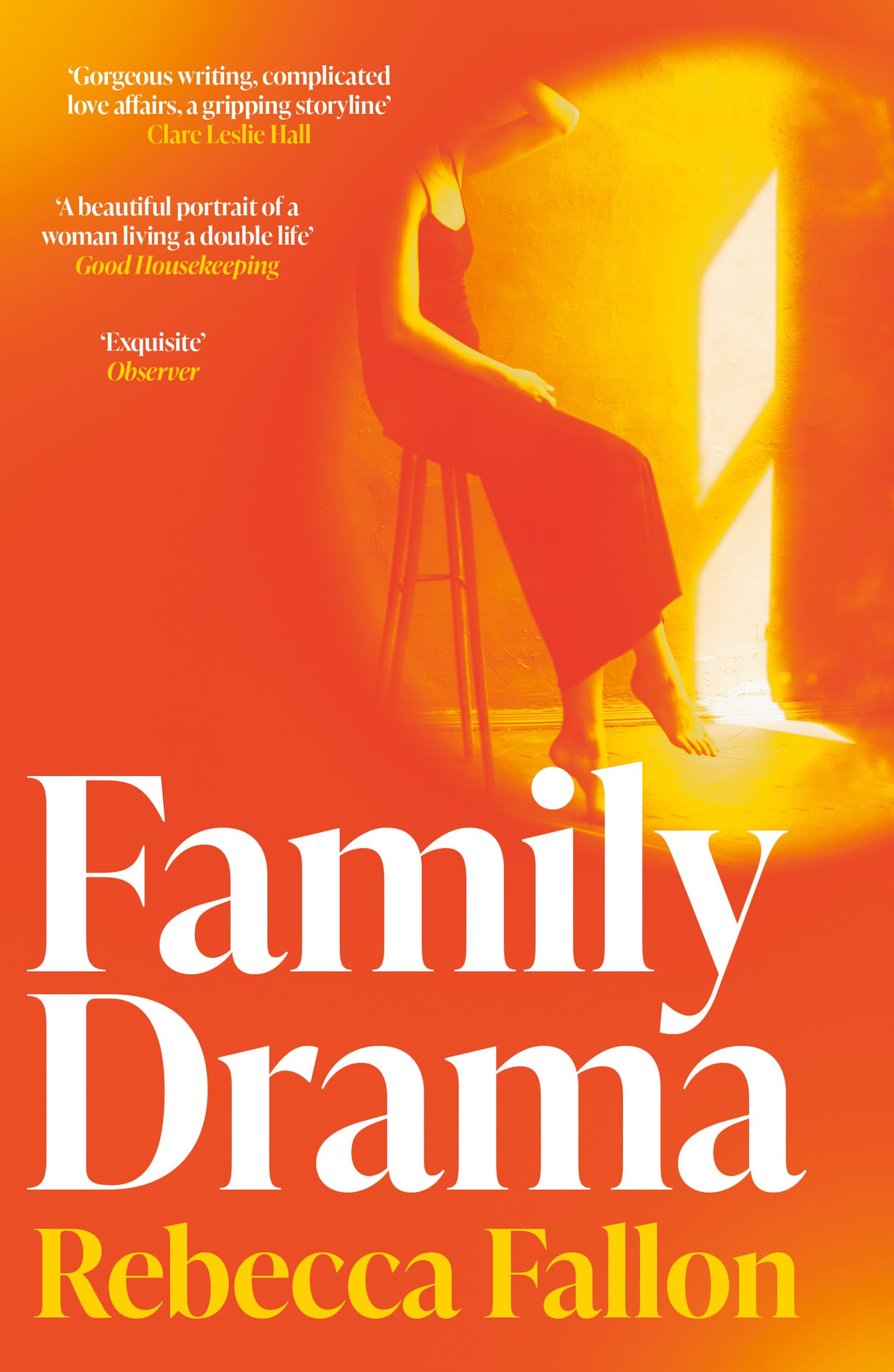 Family Drama: An irresistible and moving literary debut about love, family, ambition and the price of fame