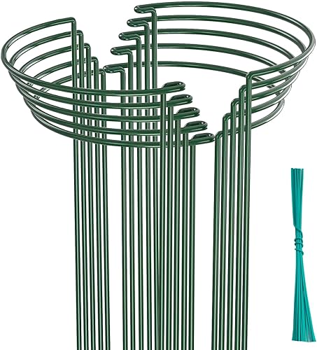 Paquete de 10 estacas de soporte para plantas, 0.157 in de grosor y 24 pulgadas de grosor, estacas de jardín de metal, jaulas de soporte para