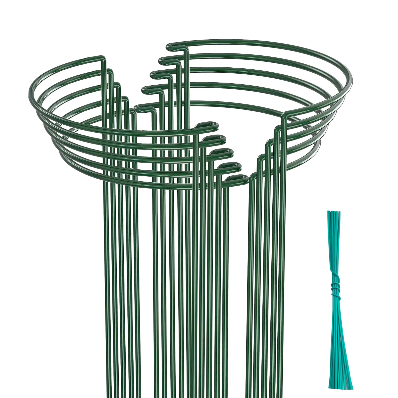 Behidiruch 10 Pack Plant Support Stakes, 4.5mm Thick 24 Inch Half Round Metal Garden Plant Stakes, Plant Support Cages Ring for Peony Tomato Hydrangea Rose Flower Indoor Outdoor (10" W x 24" H)
