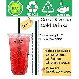 32 oz Clear Plastic Cups with Lids and Straws, Disposable Coffee Cups 25 Sets