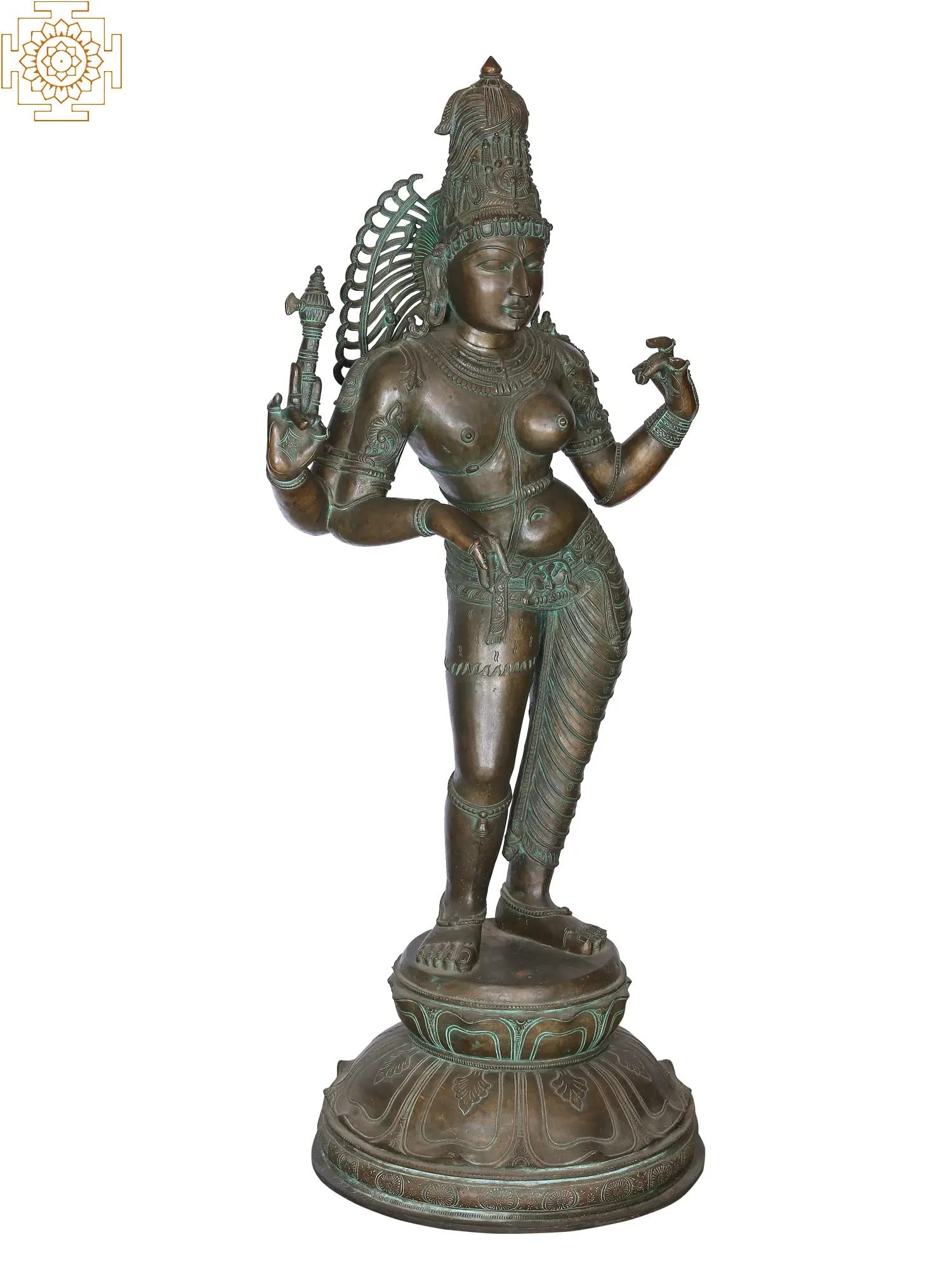 12-Piece Medium Swiss Wax Bur Set with Wooden Stand Jewelry Making Wax Wood Plastic Carving Cutting Rotary Tools