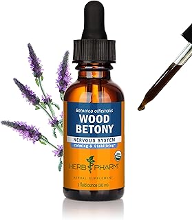 Herb Pharm Certified Organic Wood Betony Liquid Extract - 1 Ounce (DWOOD01)