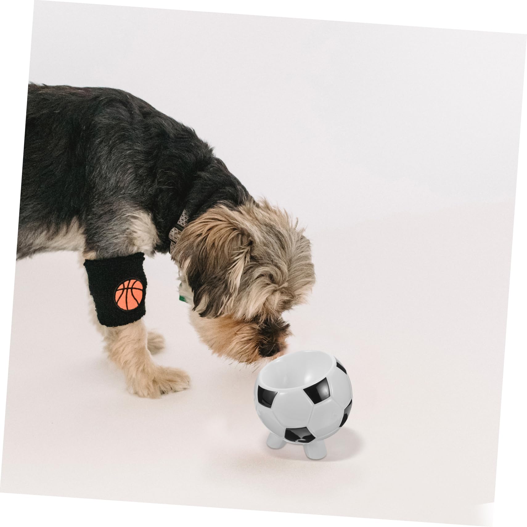 Ciotola per Animali a Tema Calcio in Ceramica per Cane e Gatto | Base Ampia, Finitura Liscia, Facile da Lavare, Adatta a Pappa e Acqua per Cuccioli