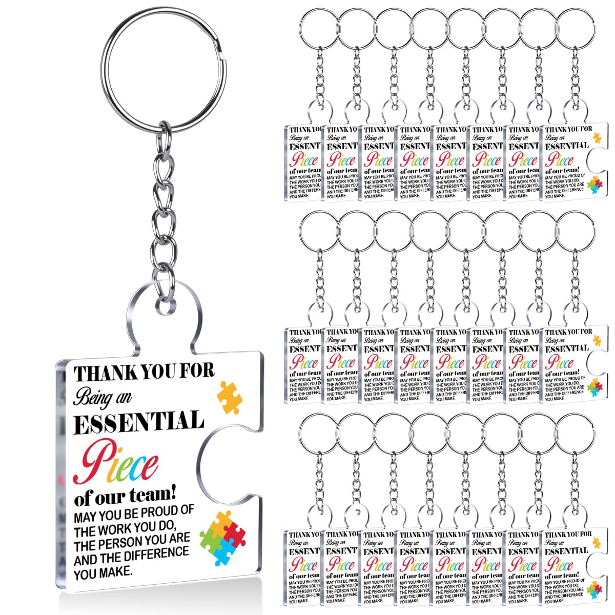 Team Appreciation Gifts Bulk Thank You Keychains for Coworkers