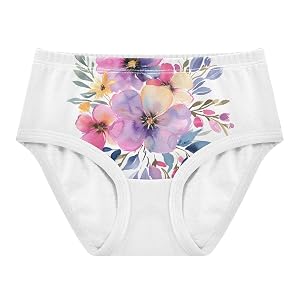 ALAZA Toddler Girls Cotton Hipster Underwear Soft Flower Watercolor 2 Pack 2T