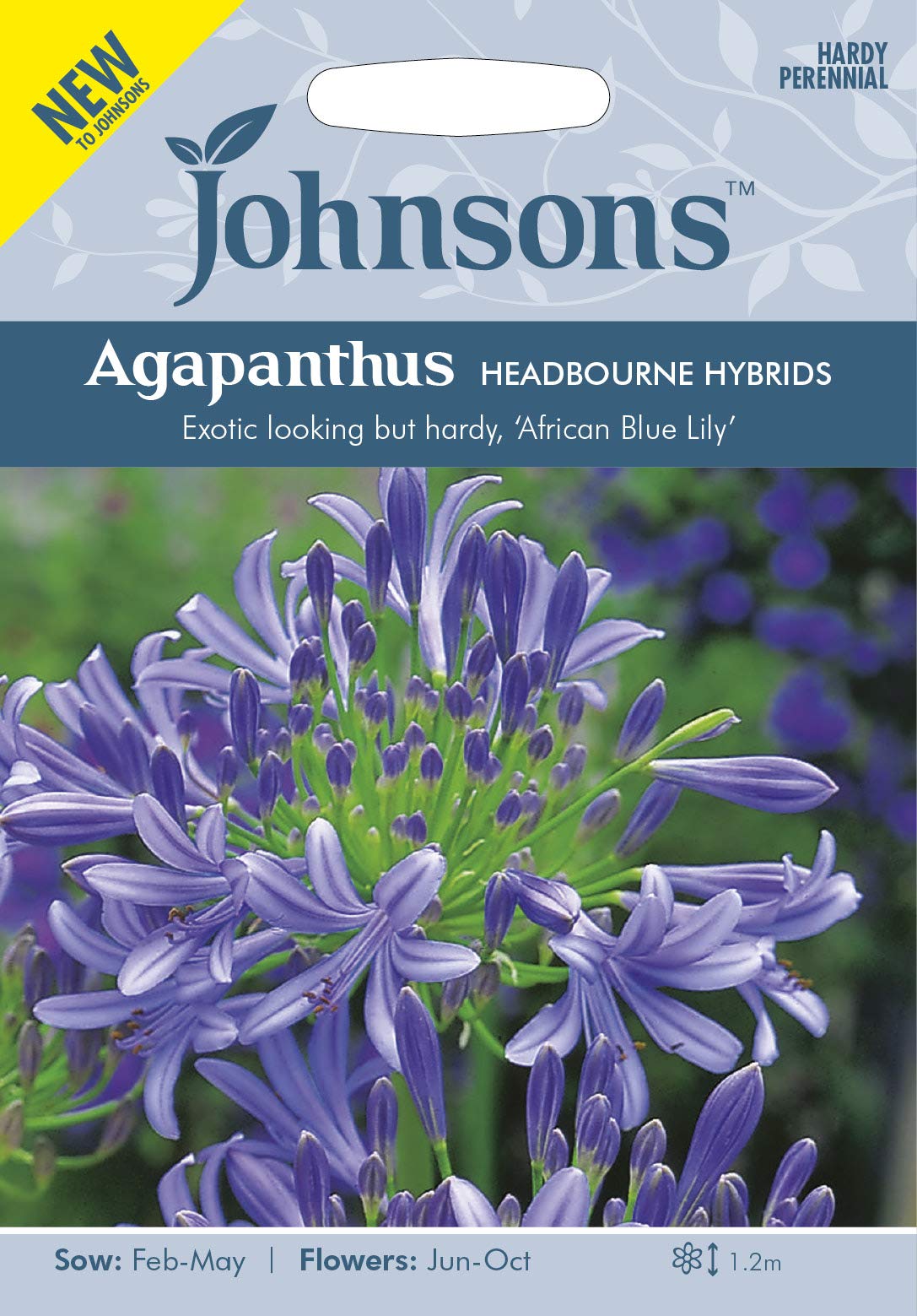 Johnsons 32817 AGAPANTHUS Headbourne Hybrids Flower Seeds, Blue, 132.0 mm*5.0 mm*92.0 mm