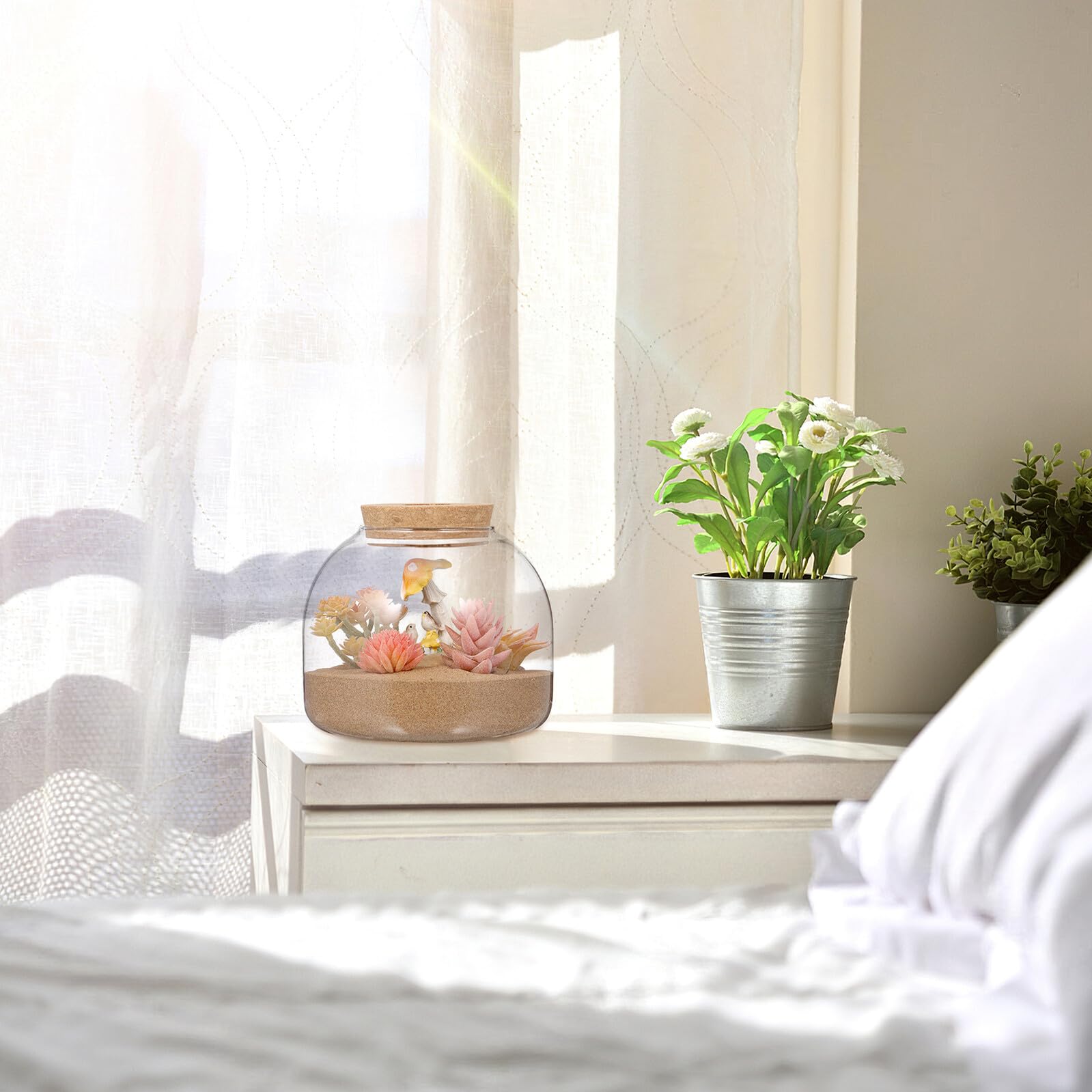 Terrario in Vetro con Tappo in Legno per Piante Idroponiche, Contenitore Ecosistema per Micro Paesaggi, Vaso Decorativo Piccolo da Tavolo per Casa, Ufficio e Fai da Te