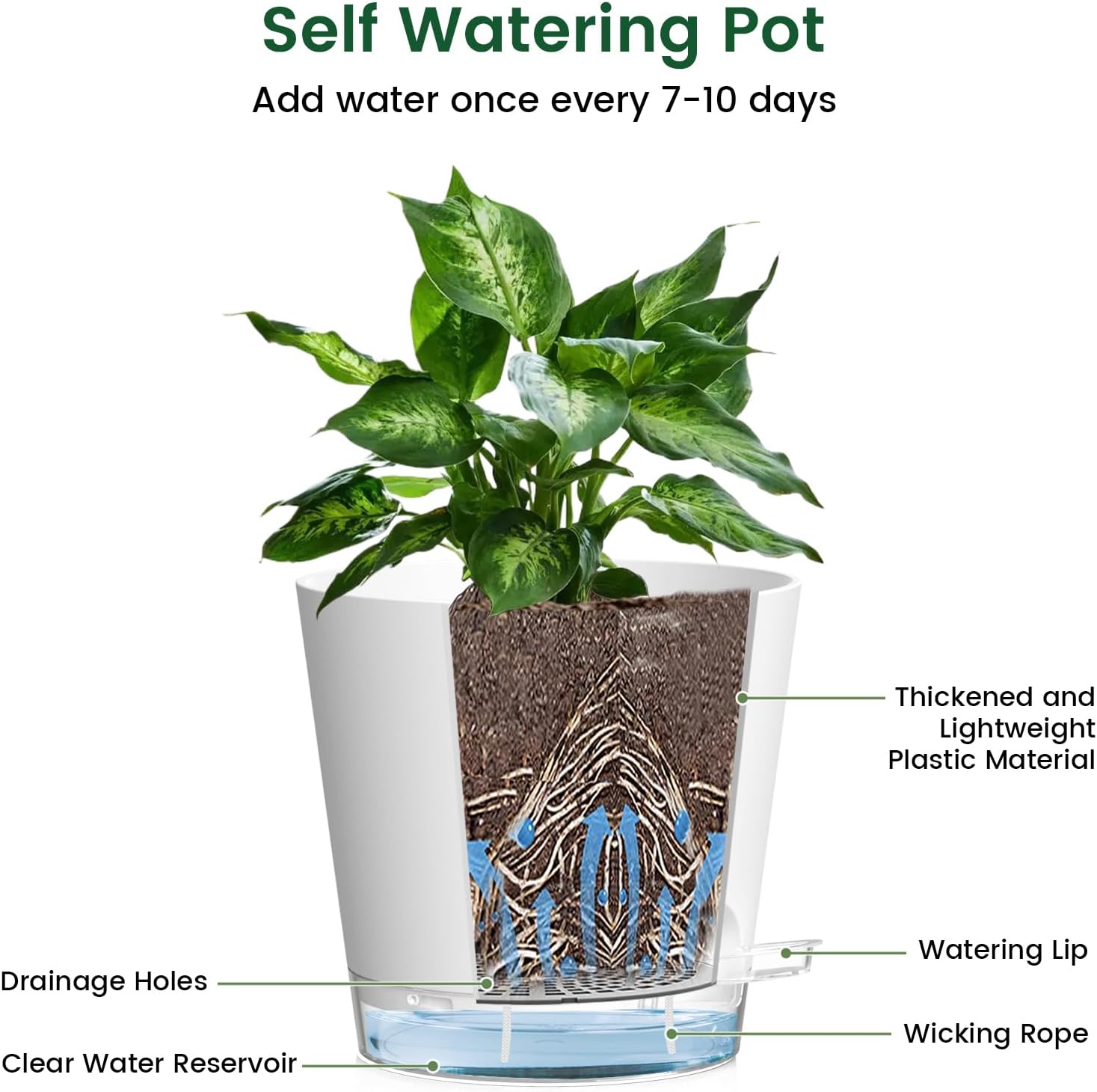 Meowell 6 inch Self Watering Pots for Indoor Outdoor Plants, 6 Pack Flower Plant Pots with Drainage Holes and Clear Reservoirs, Visible Water Level, Plastic Planters with Wicking Rope, White