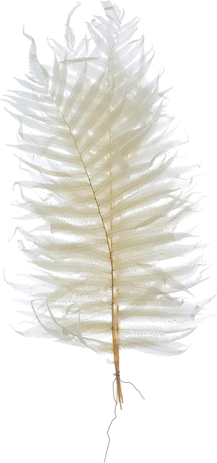 Creative CoOp Fern Leaf Bouquet with Poly Bag, Cream