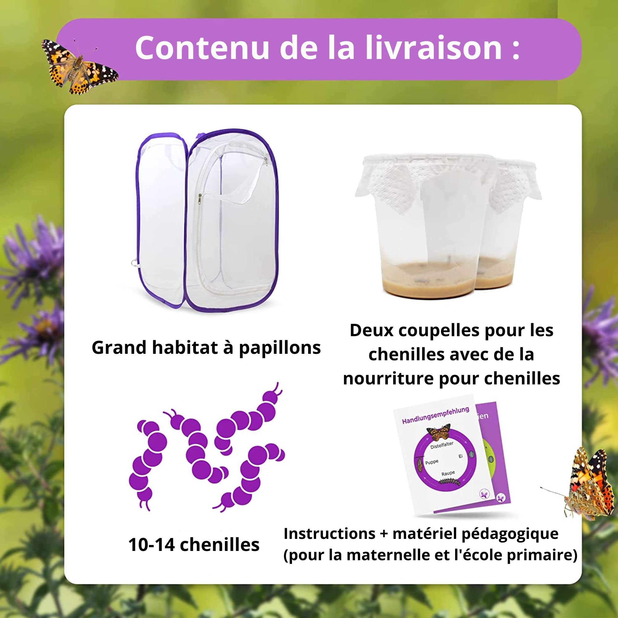 Ensemble d'élevage de Papillons pour Enfants/Adultes | Élevage de Papillons avec [Garantie de réussite] | Papillons indigènes | Élevage de chenilles à Domicile à partir de 3 Ans