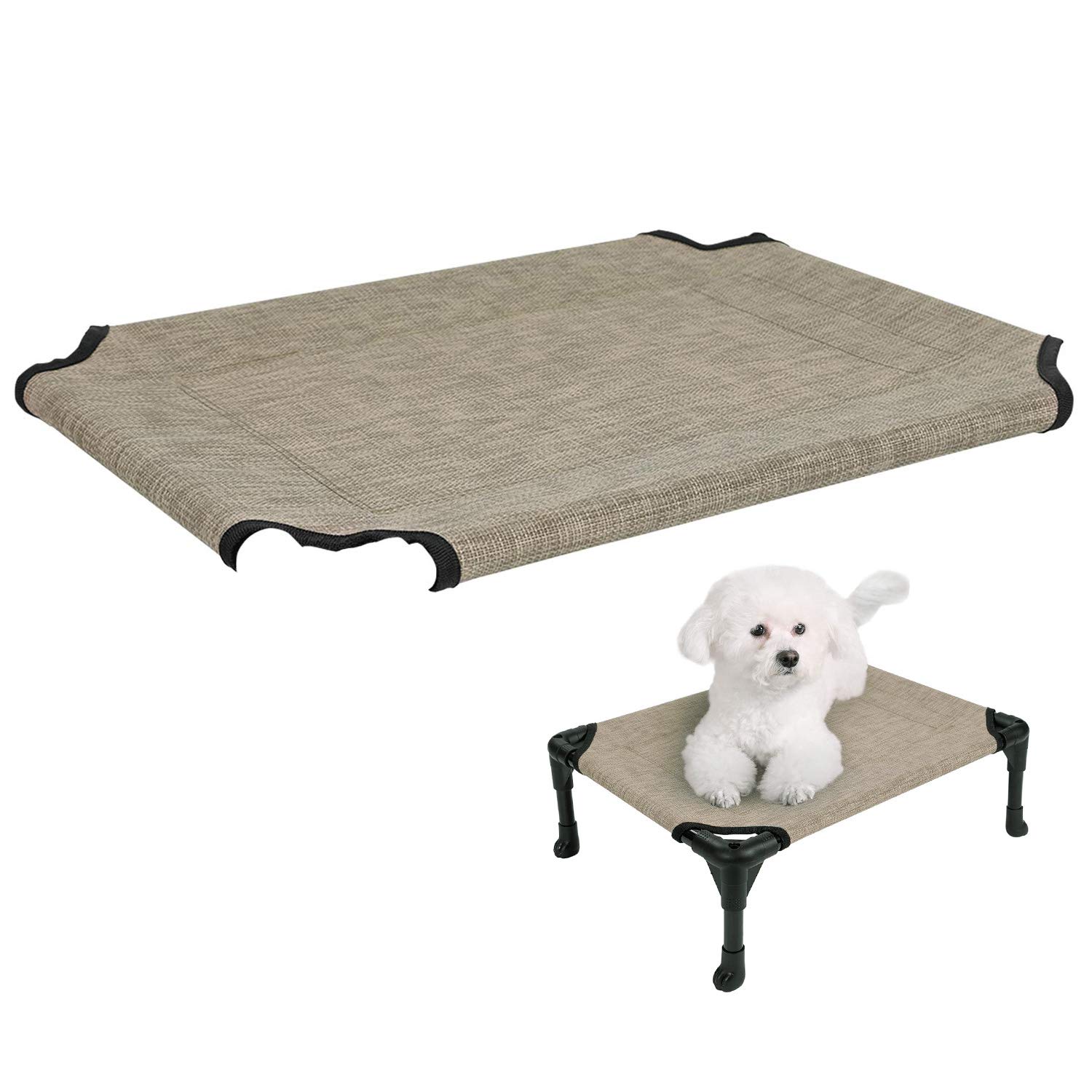 betta fish floating at top