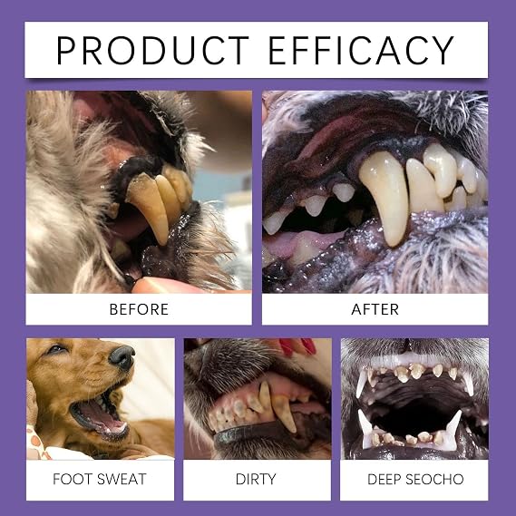 Pet Smile Toothpaste for Dogs & Cats, Tartar Remover, Breath Freshener, 6ml, Fig Flavor