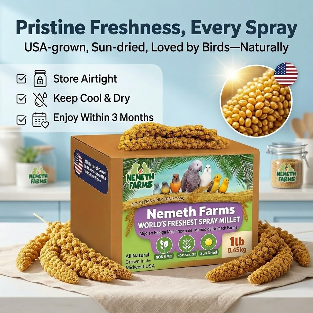 Nemeth Farms Worlds Freshest suszony na słońcu proso w sprayu – nie zawiera genetycznie (bez łodyg tylko jadalnych wierzchnich) – zdrowe przysmaki dla ptaków i suplementów diety dla wszystkich ptaków