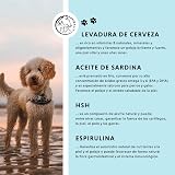 Ver la foto 3
