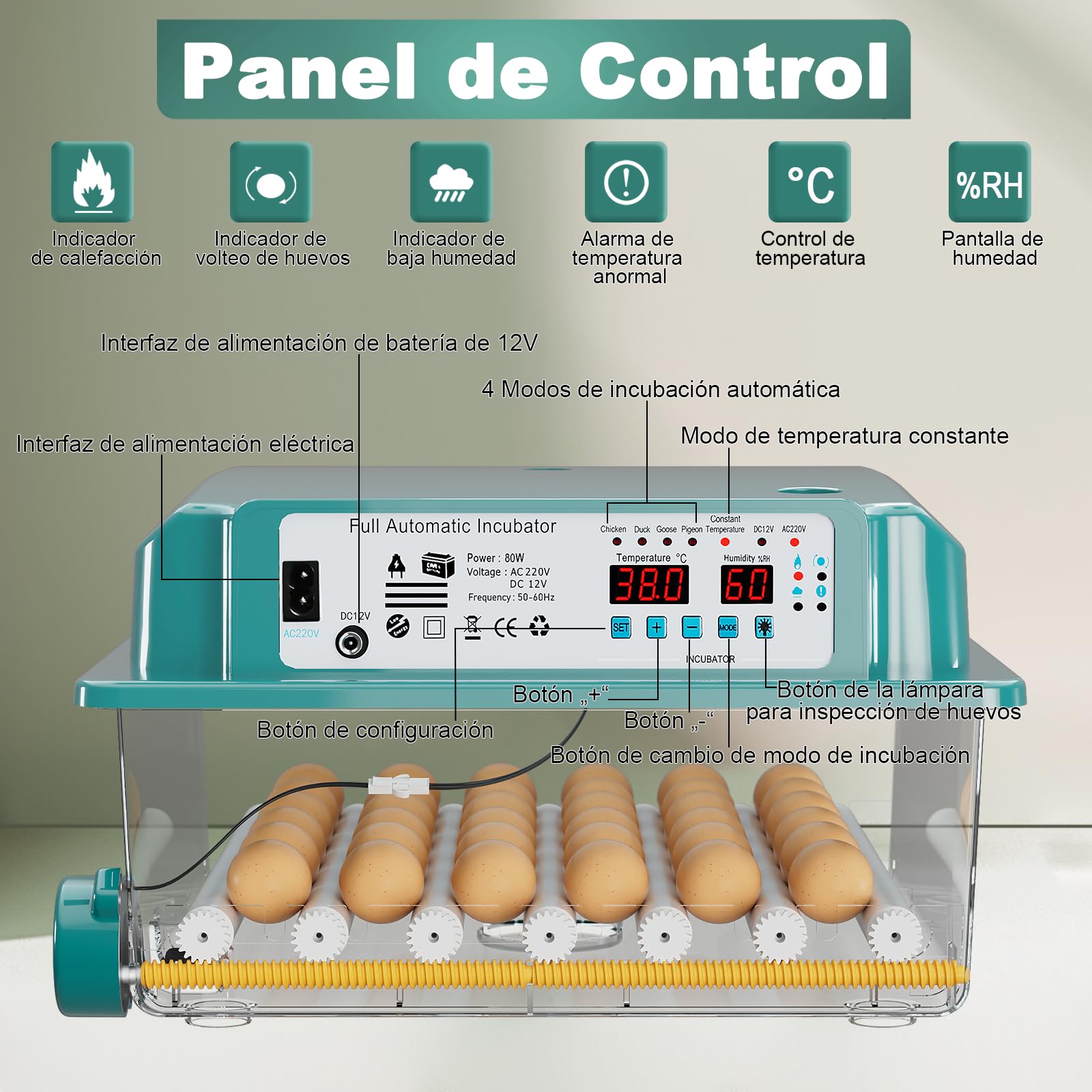 CoInceptus Incubadora Huevos Gallina, Incubadora de 24-36 Huevos con Volteo Automático de Huevos y Adición Automática de Agua, Incubadora con 4 Modos de Incubación Automáticos