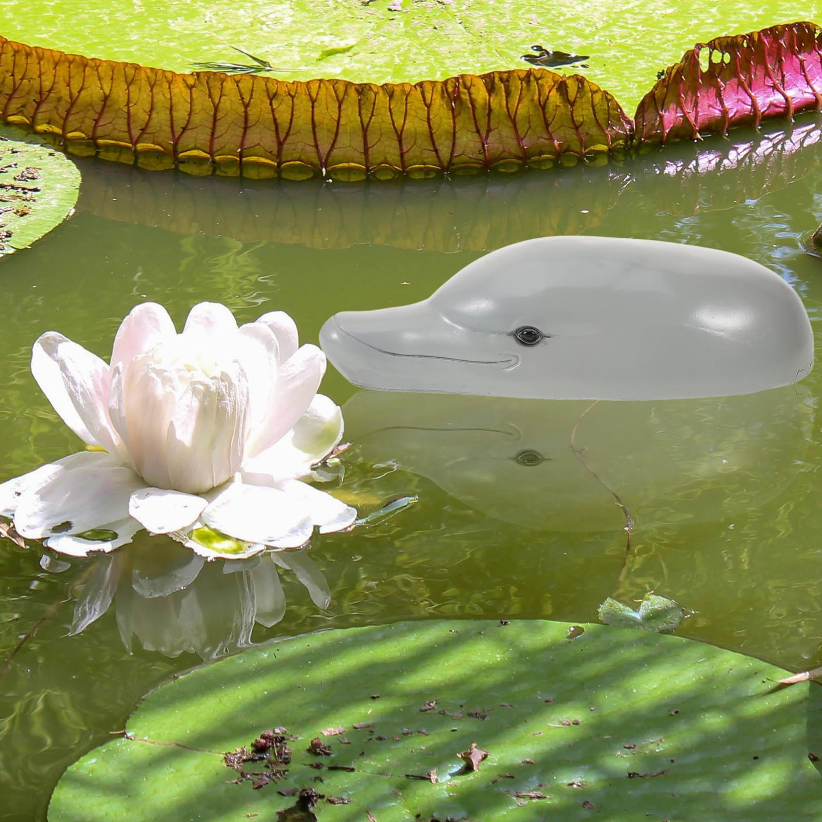 Happyyami decorazione galleggiante per laghetto arredamento decorazioni per acquari rana decorazione casa oggetto decorativo ornamento dell'acquario dell'acquario decoro animale in resina