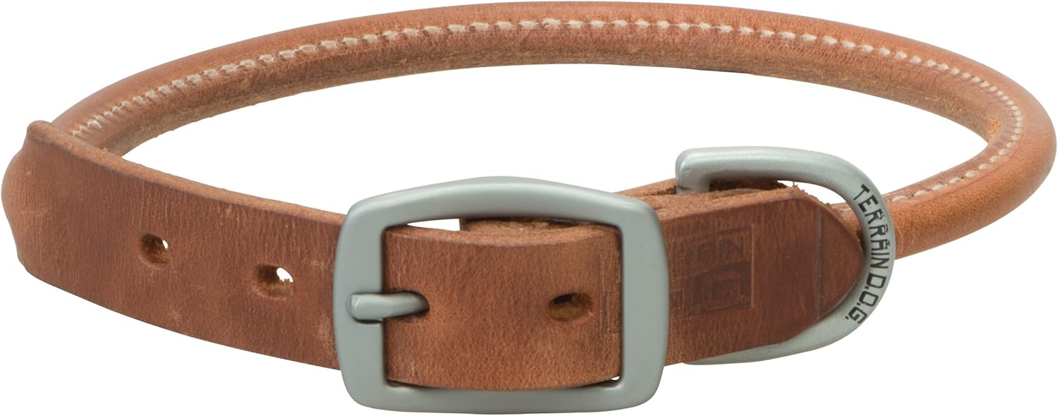 amazon rolled leather dog collar