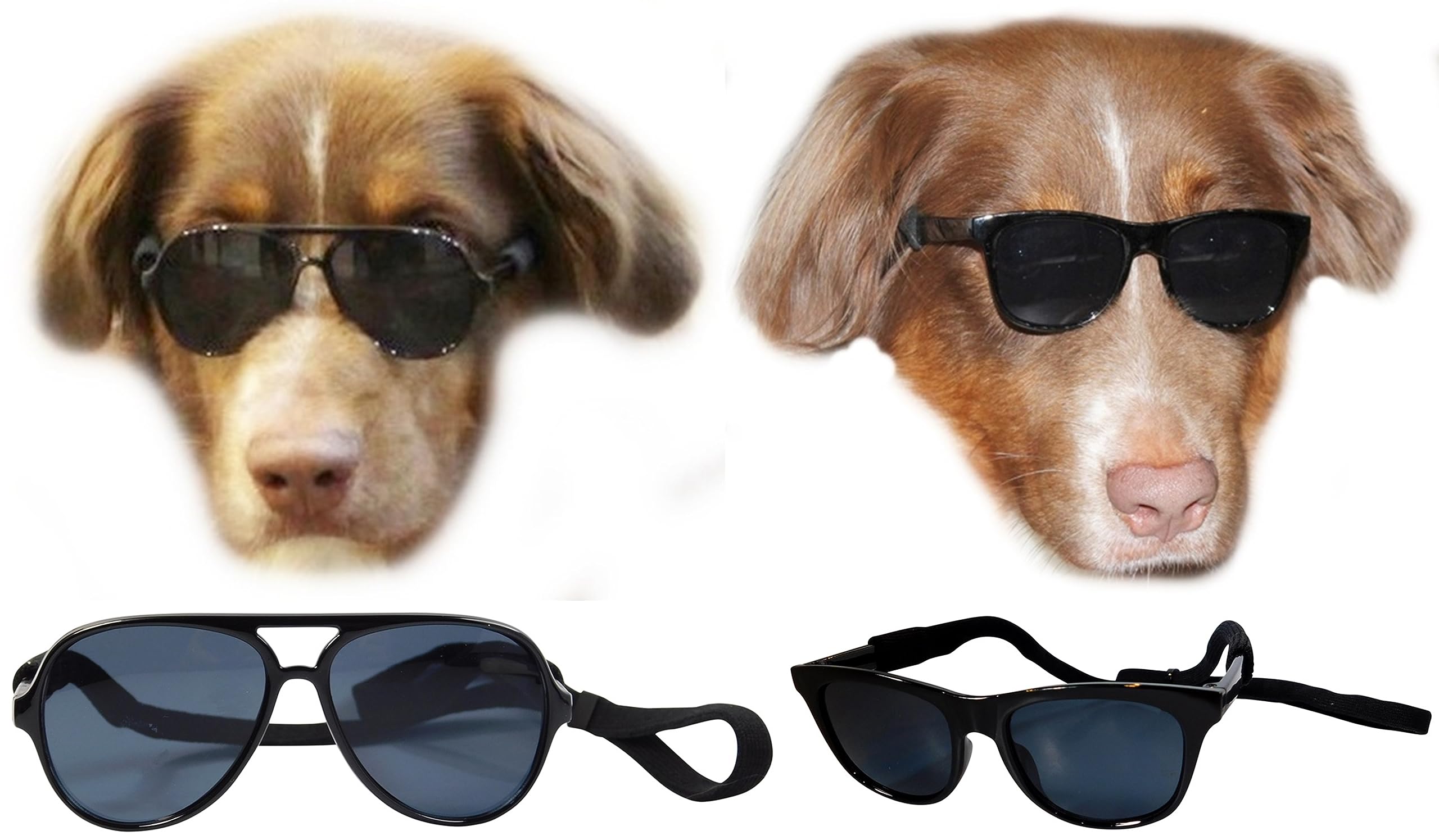 Lunettes de soleil pour chien pour protéger les yeux sensibles de petite taille 80s