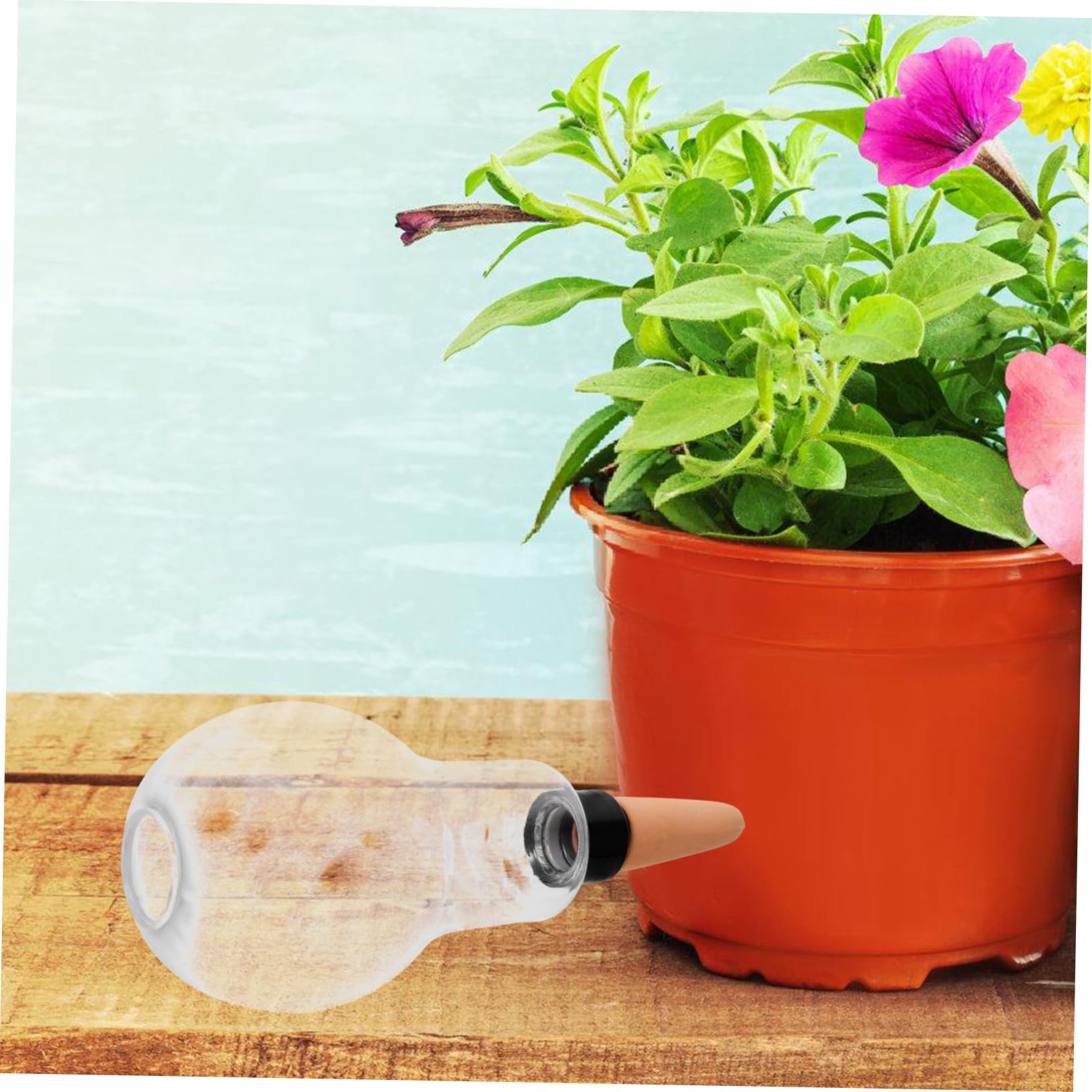 POPETPOP 6 Pièces Dispositif d'arrosage Automatique Abreuvoir pour Plantes en Pot Globe d'arrosage Clair Plantes d'intérieur arrosage à Pots de Fleurs Globes d'arrosage pcv