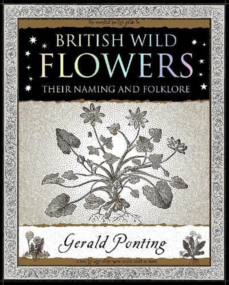 British Wild Flowers: Their Naming and Folklore (Wooden Books U.K. Series)