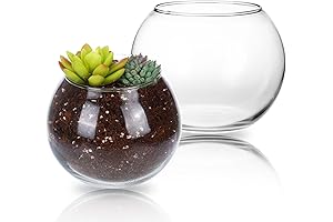 Fixwal Clear Glass Sphericity Vases: Enhancing Decor with Elegance