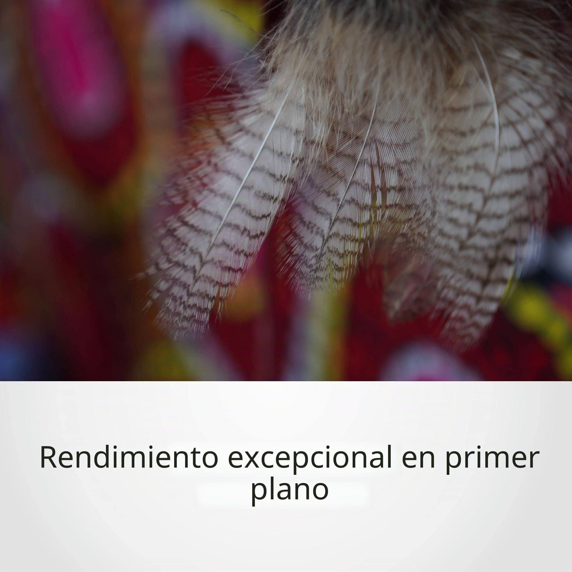 Sony E 16-55mm f/2.8 G - Objetivo Zoom, APS-C, Rango Medio (SEL1655G)