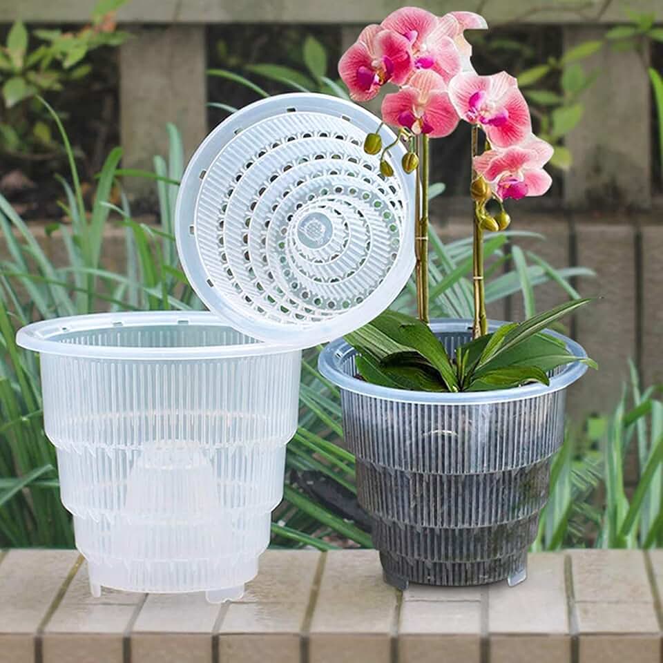 Amazon.co.uk orchid pots with holes