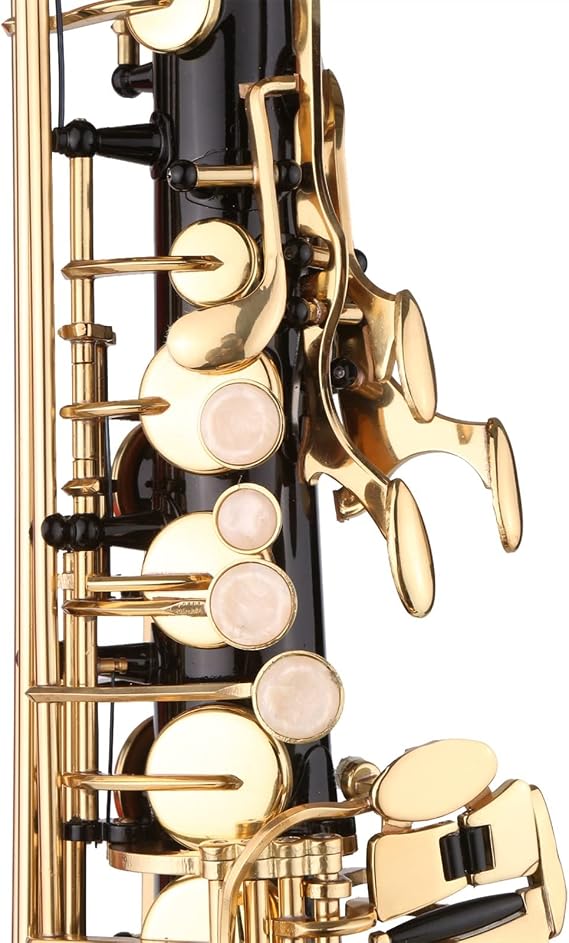 Saxophone Black Paint E-Flat Brass EB Alto Saxophone Beginner Saxophone