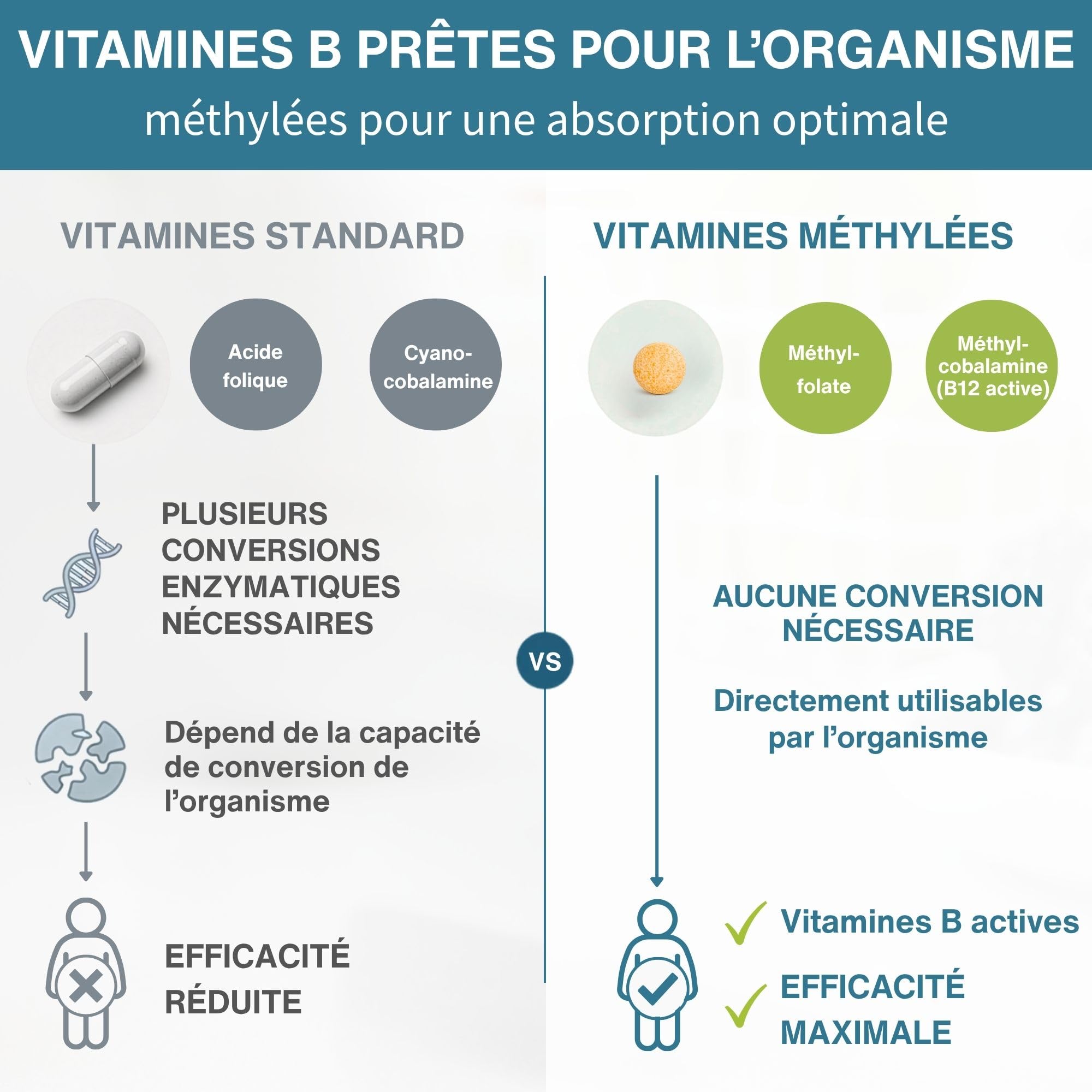 Igennus Super B-Complex à Haute Absorption avec Vitamines B Méthylées et Vitamine C, Liberation Prolongée, Ingredients Purs et Vérifié en Laboratoire, 180 Petits Comprimés, Vegan