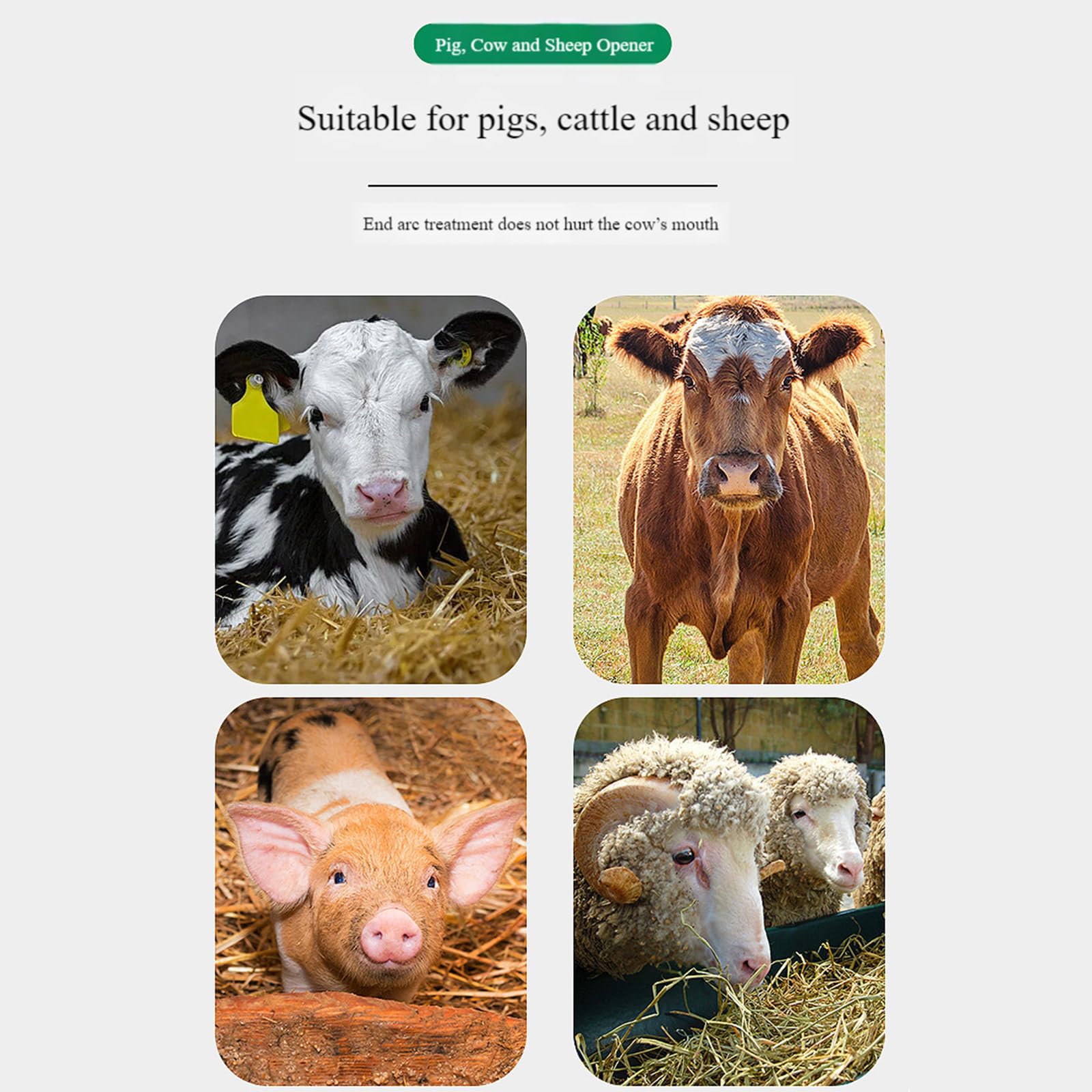 Abridor de boca de metal para cerdos, ganado, ovejas, espéculo dosificador veterinario para granja y clínica, equipo veterinario sanitario de metal