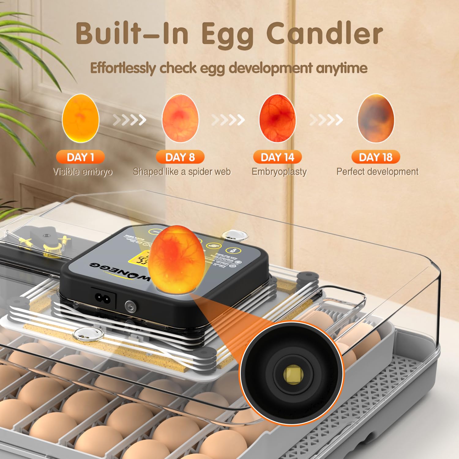 Incubadoras para incubar huevos, incubadora de huevos para laboratorio, granja doméstica con giro automático de huevos para pollo, patos, ganso, codorniz, 48 huevos