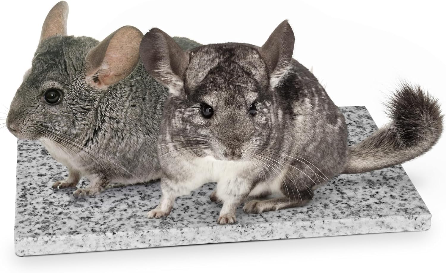 Chinchilla Cooling Stone Durable Cool Down Easy Clean in Hot Summer for Rabbit Hamster Guinea Pig Chinchilla Kitten Small Animals Spots of Gold-Grey
