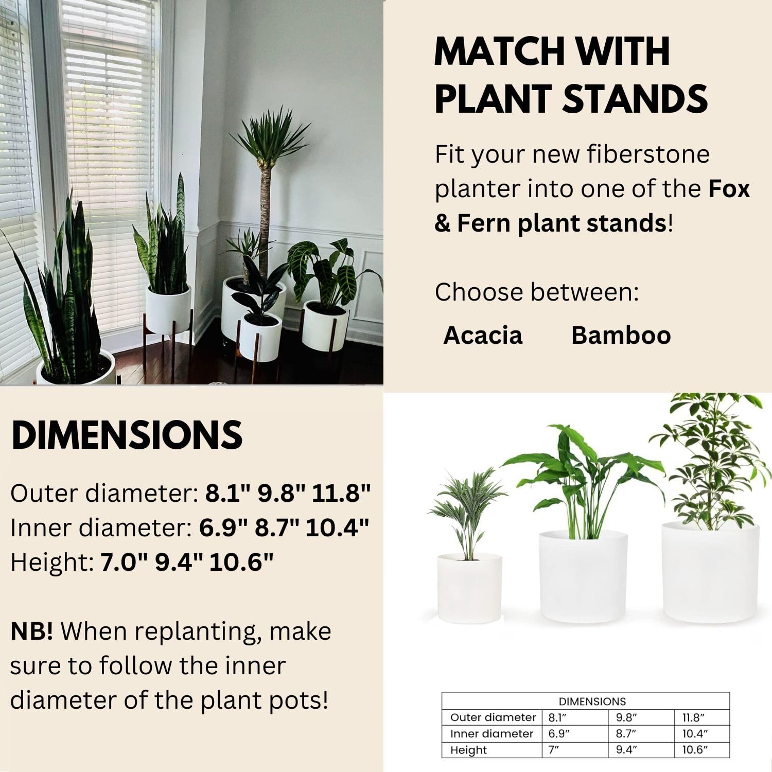 Lot De 4 Plantes D'extérieur Résistantes à L'hiver - Surprise Variée, 25-50cm, Pot 12-15cm, Qualité Pro - 9