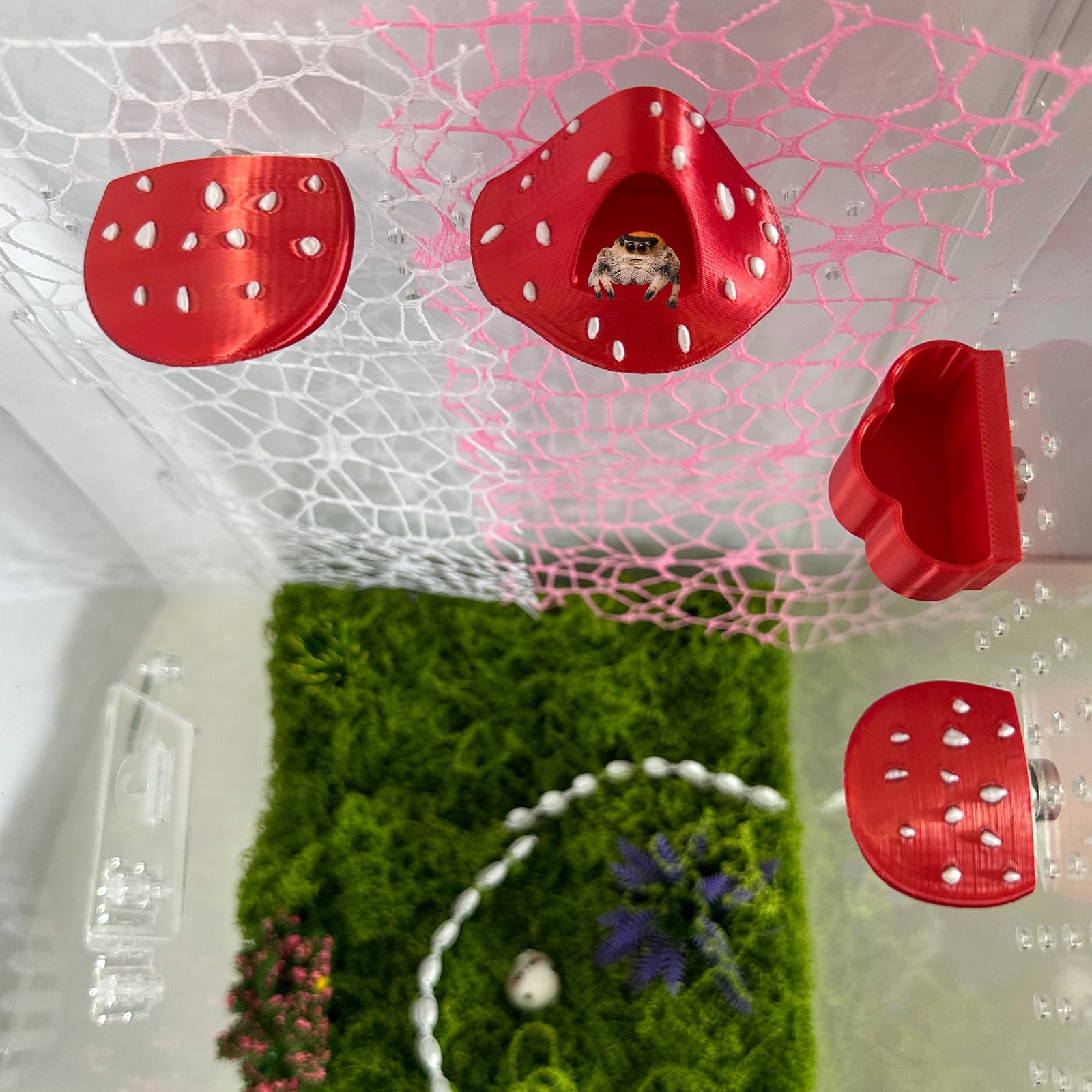 Okueejur Jumping Spider Accessories Kit, 6 Pcs Set including Mushroom Platforms, Magnetic Feeder Dish