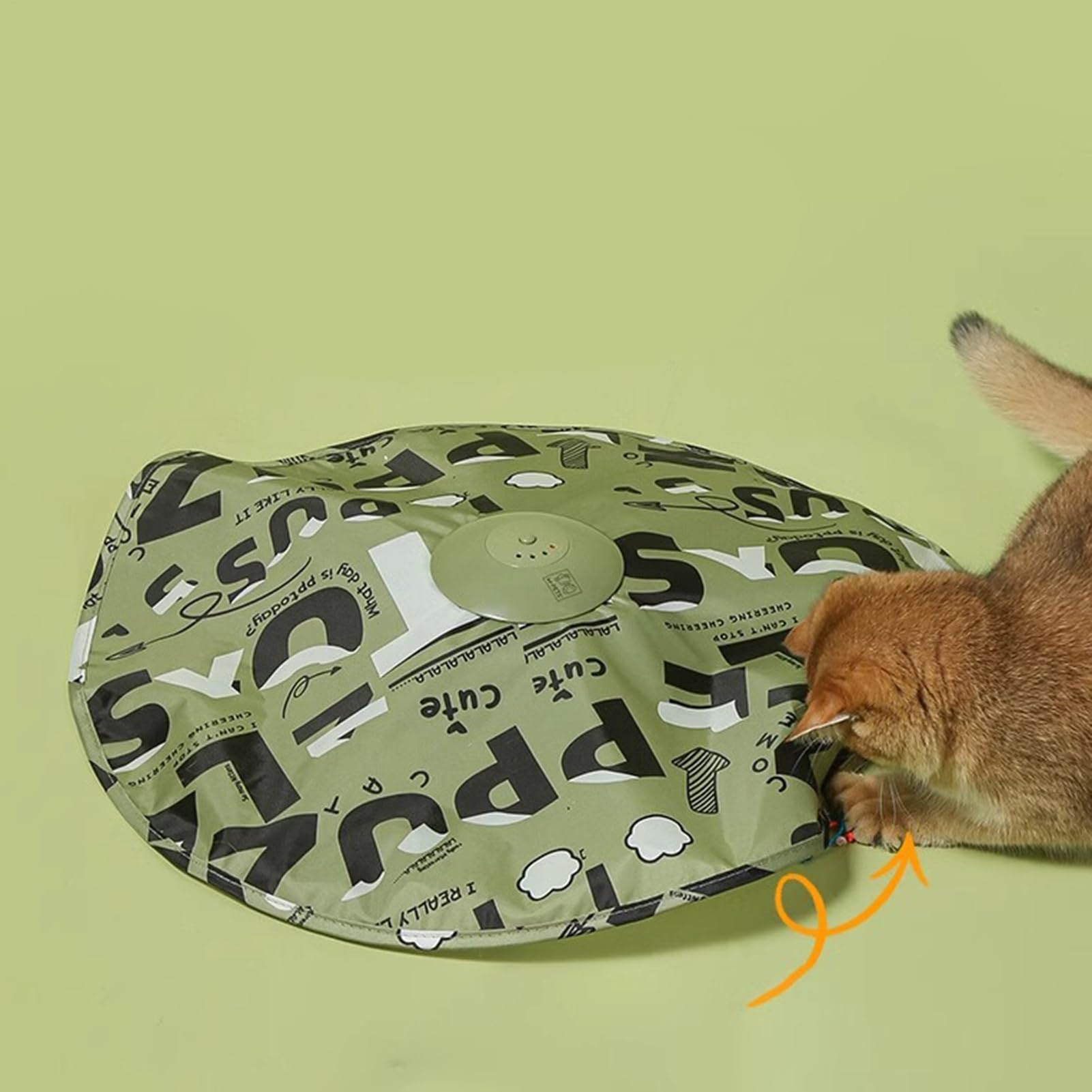 Interaktives Katzenspielzeug Interaktives Kätzchenspiel, Haustieraktivität,